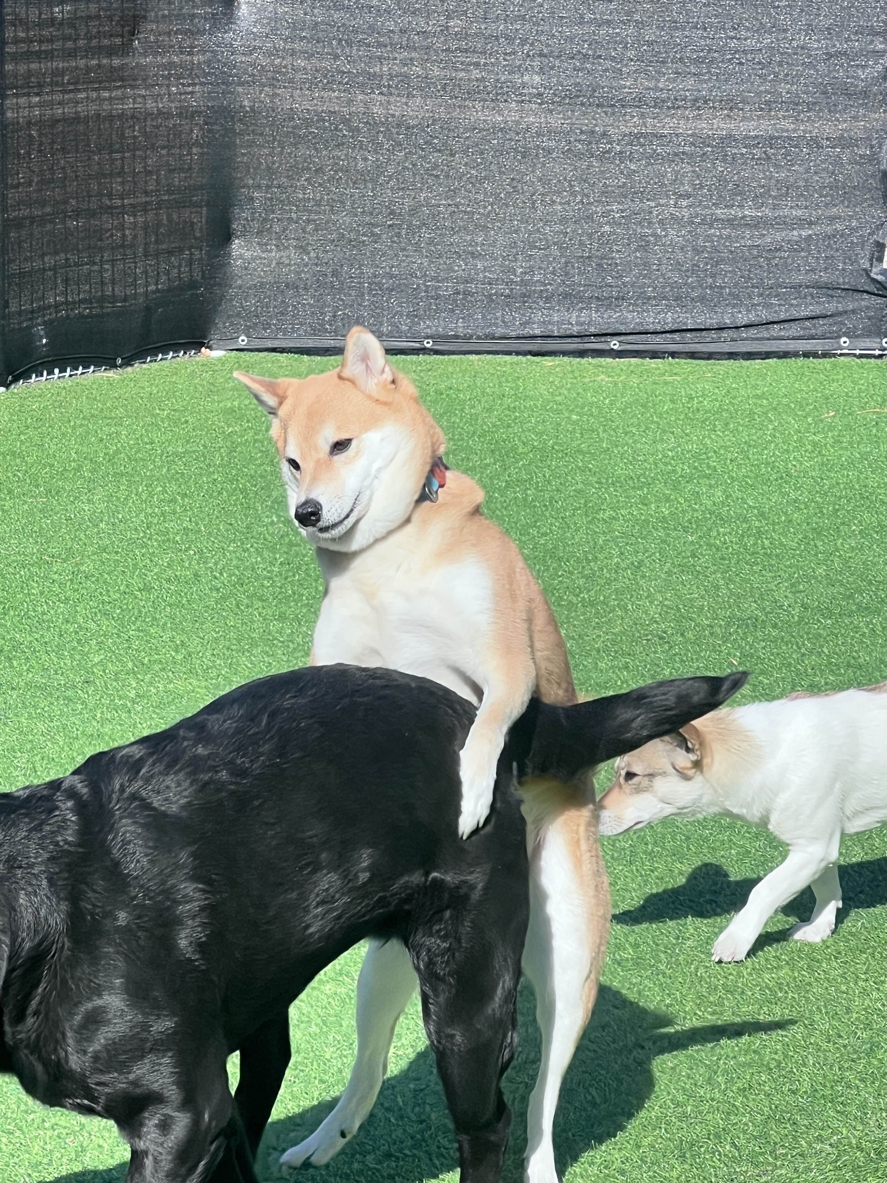 마린독스 대표 이미지