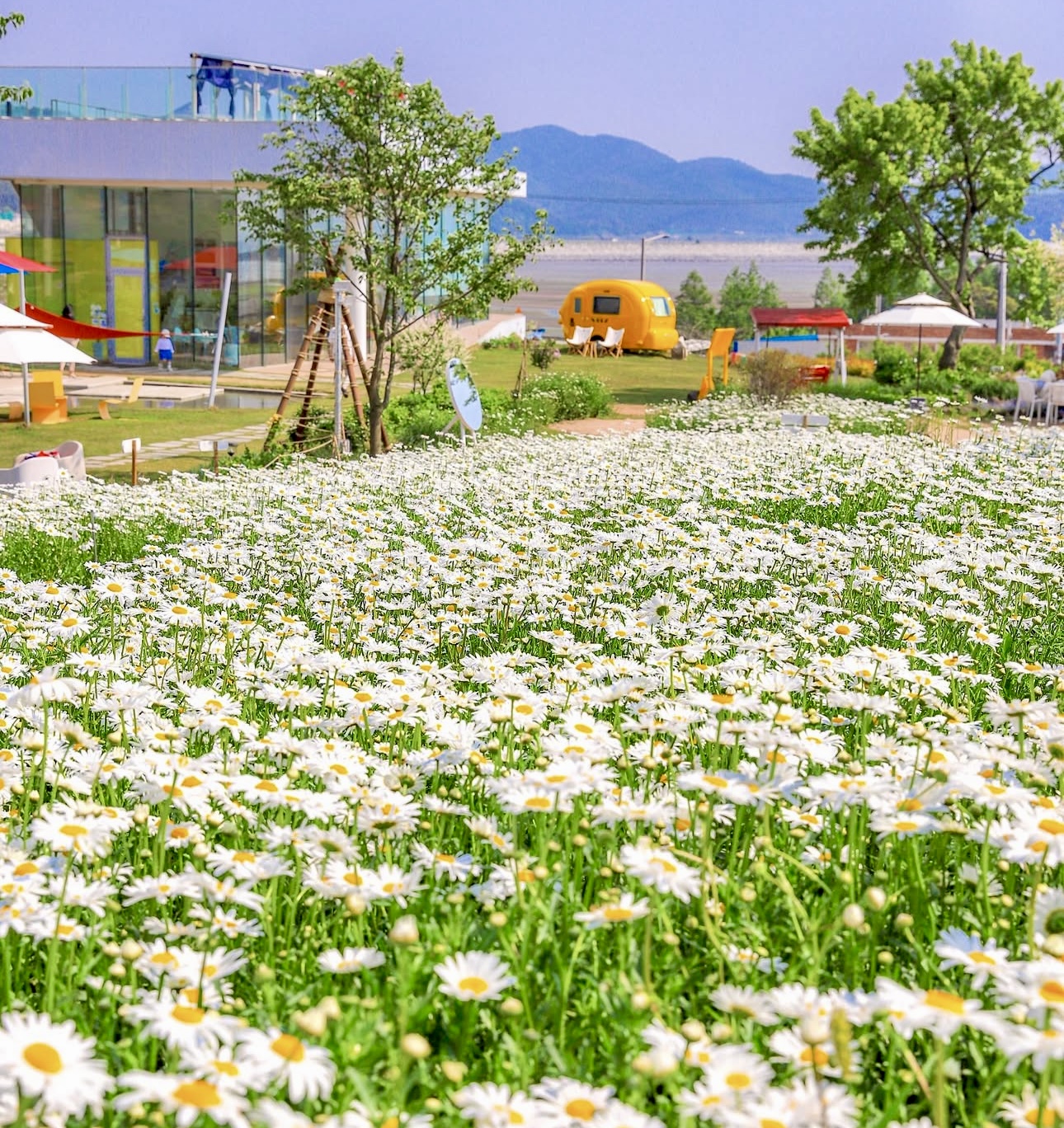 비츠카페 설명사진