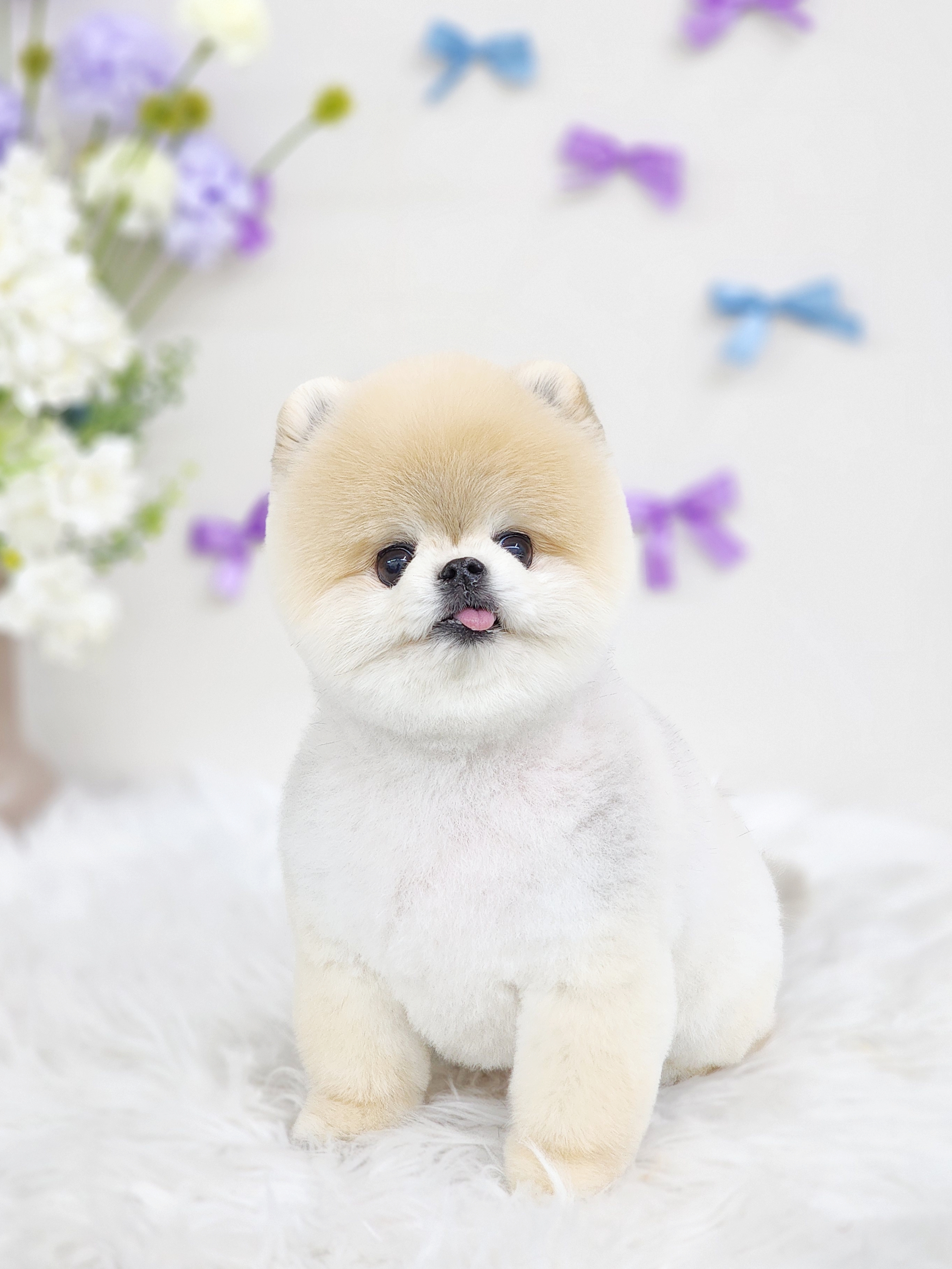 멍데이즈 대표 이미지