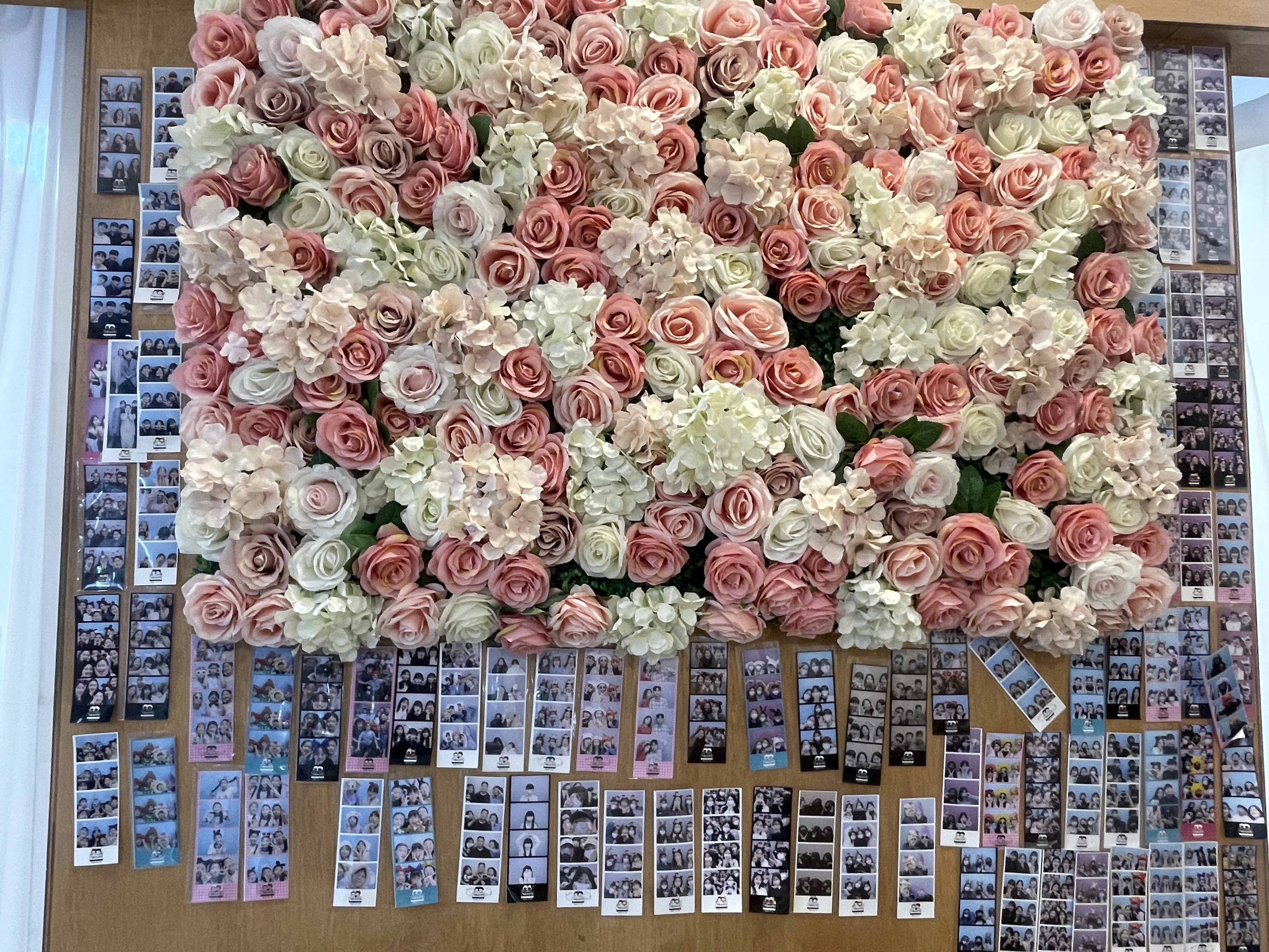 용호동아이스크림할인점
