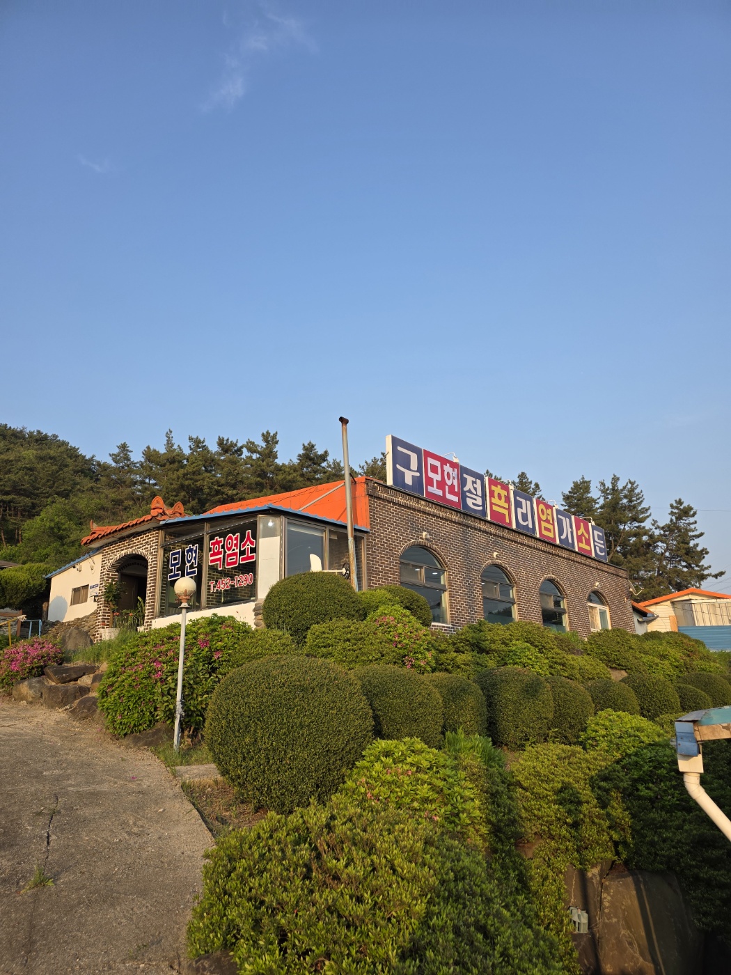 모현흑염소