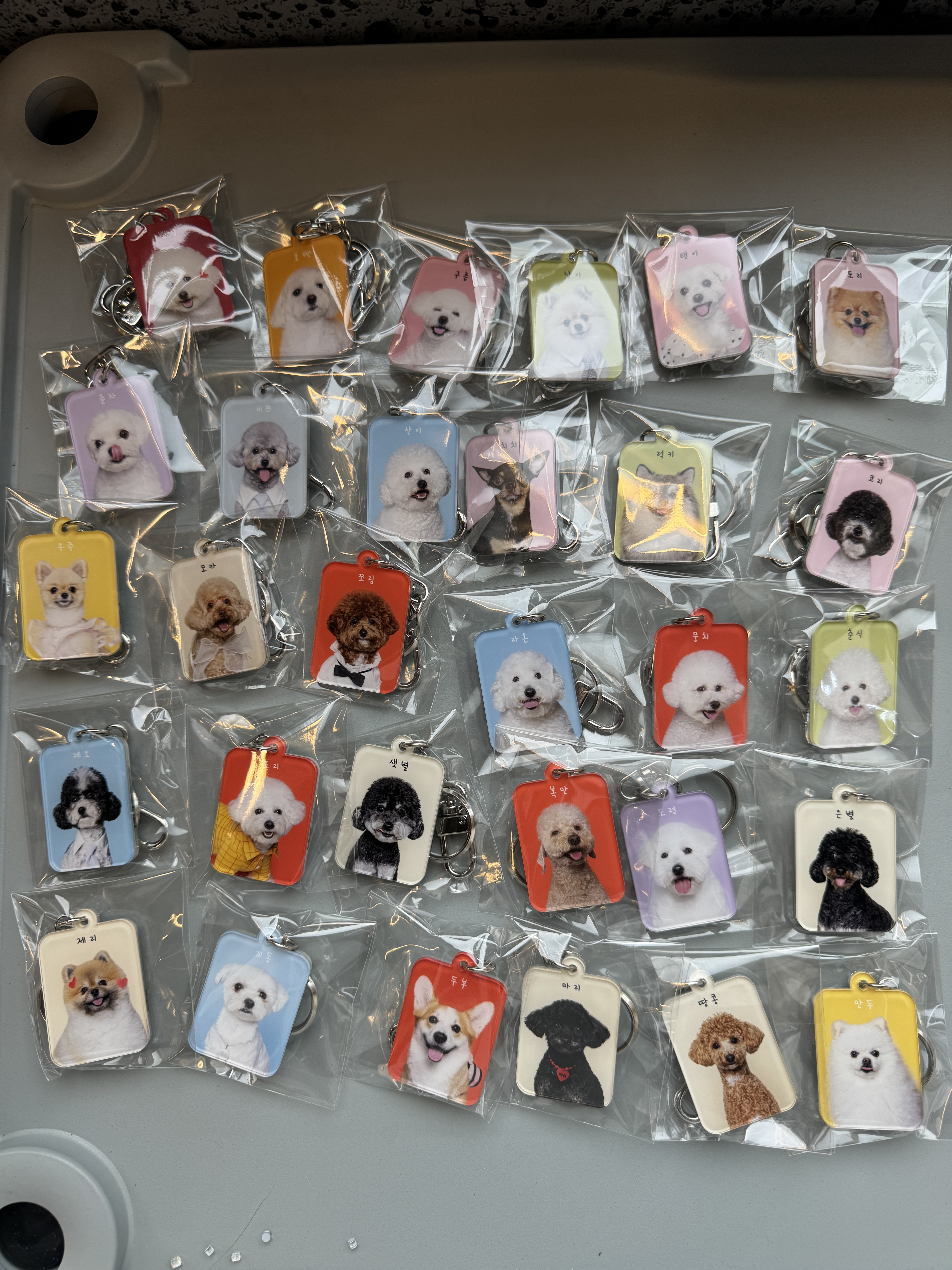 퍼피스테이 대표 이미지