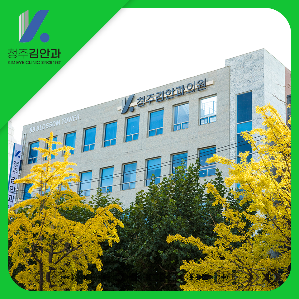 김안과의원 대표 이미지