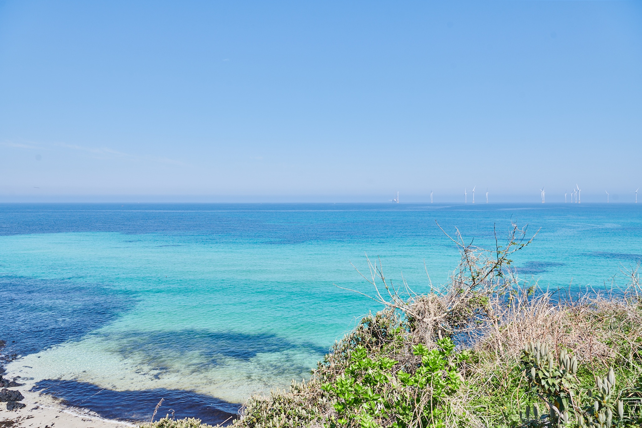 한담국수 곽지애월점 대표 이미지
