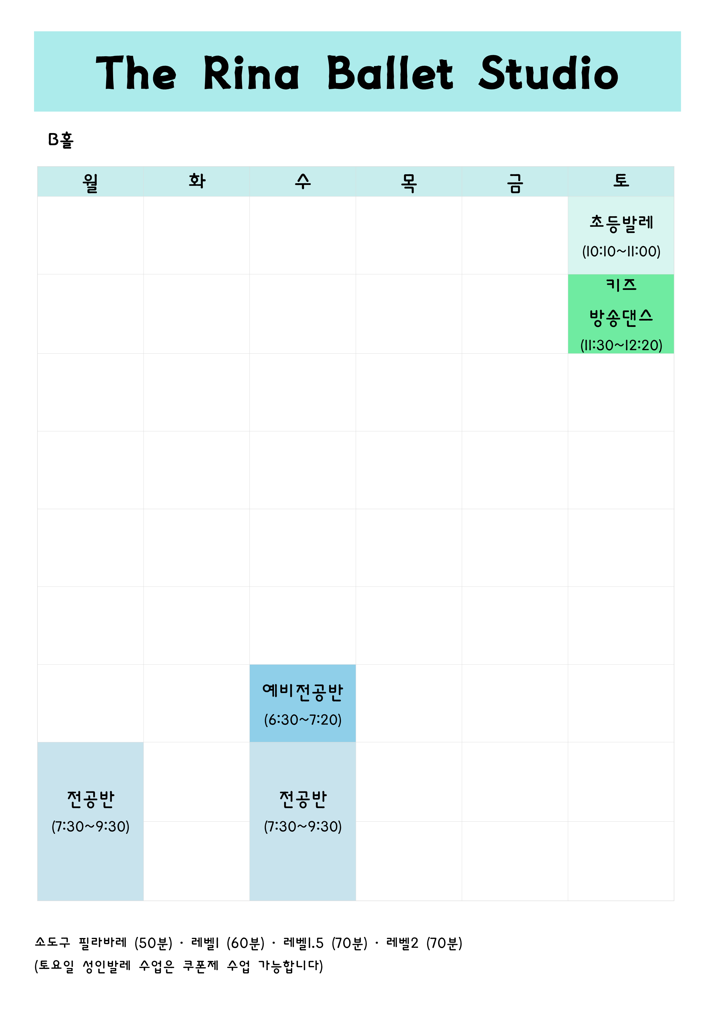 더 리나 발레 스튜디오 학원