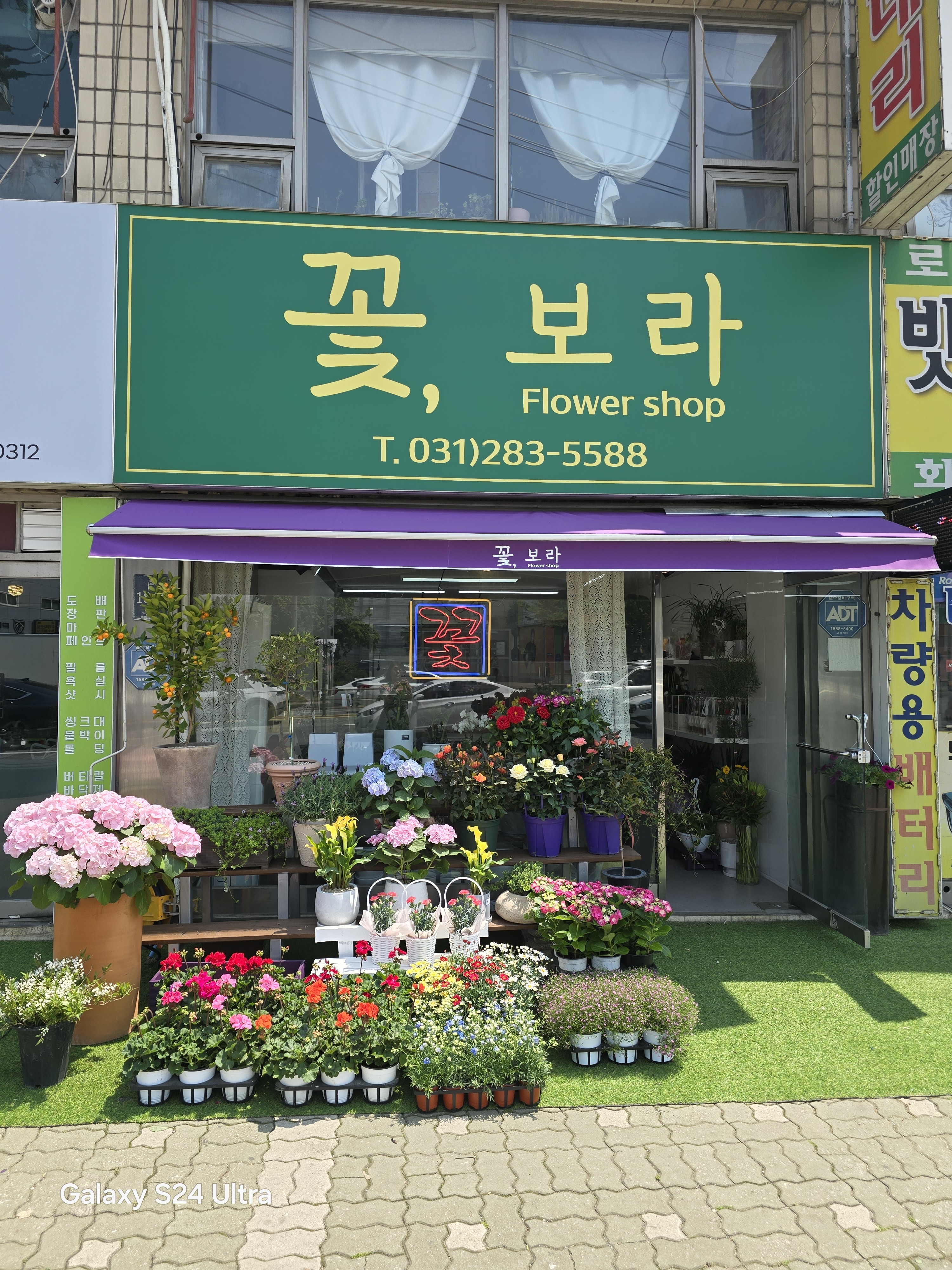 꽃,보라