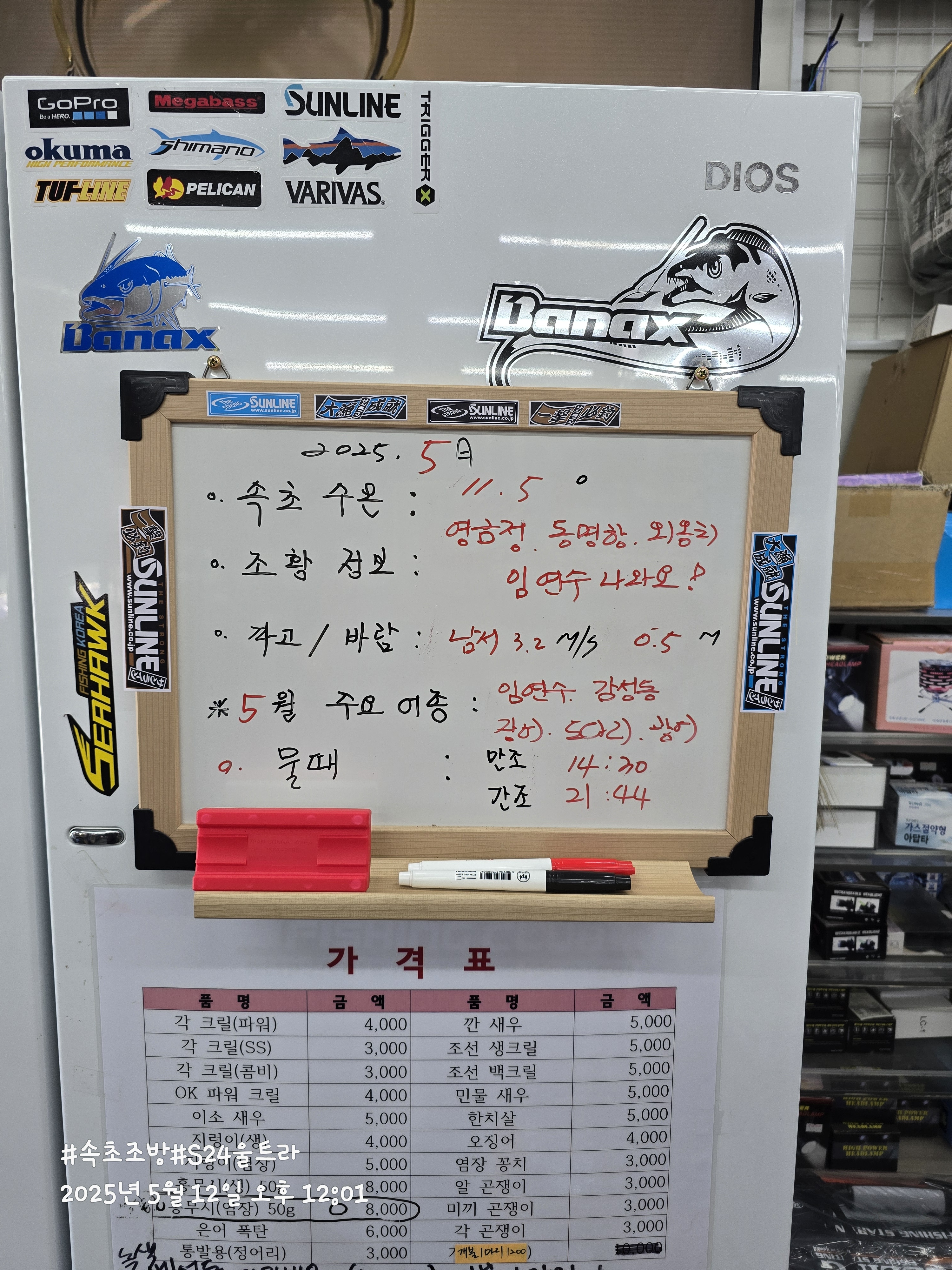 조양낚시