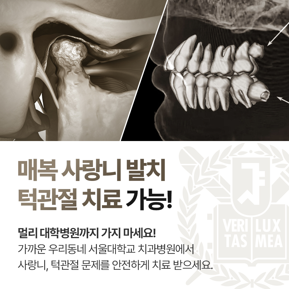 서울새로치과의원 대표 이미지