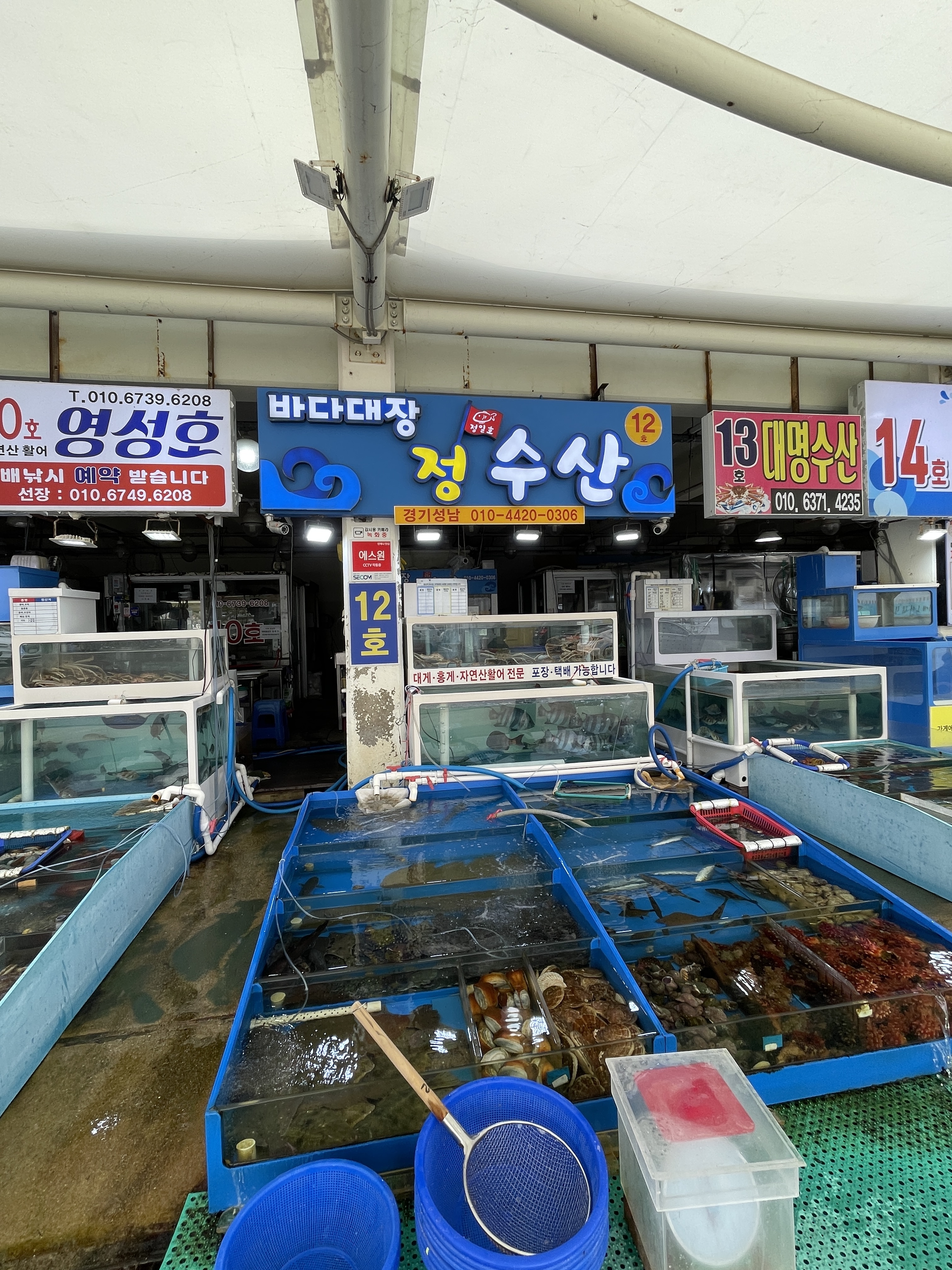 정수산