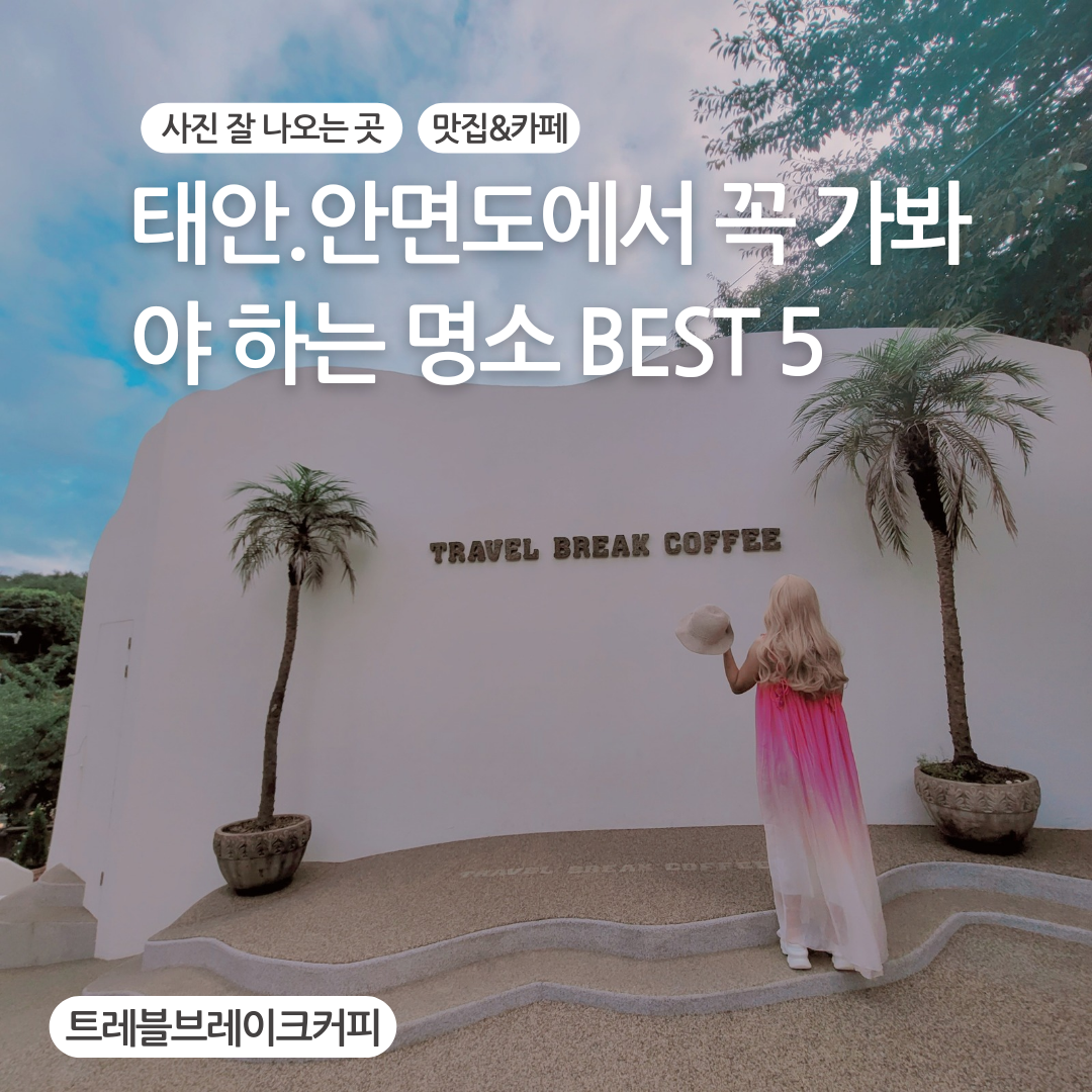 트레블브레이크커피 충청 애견맛집