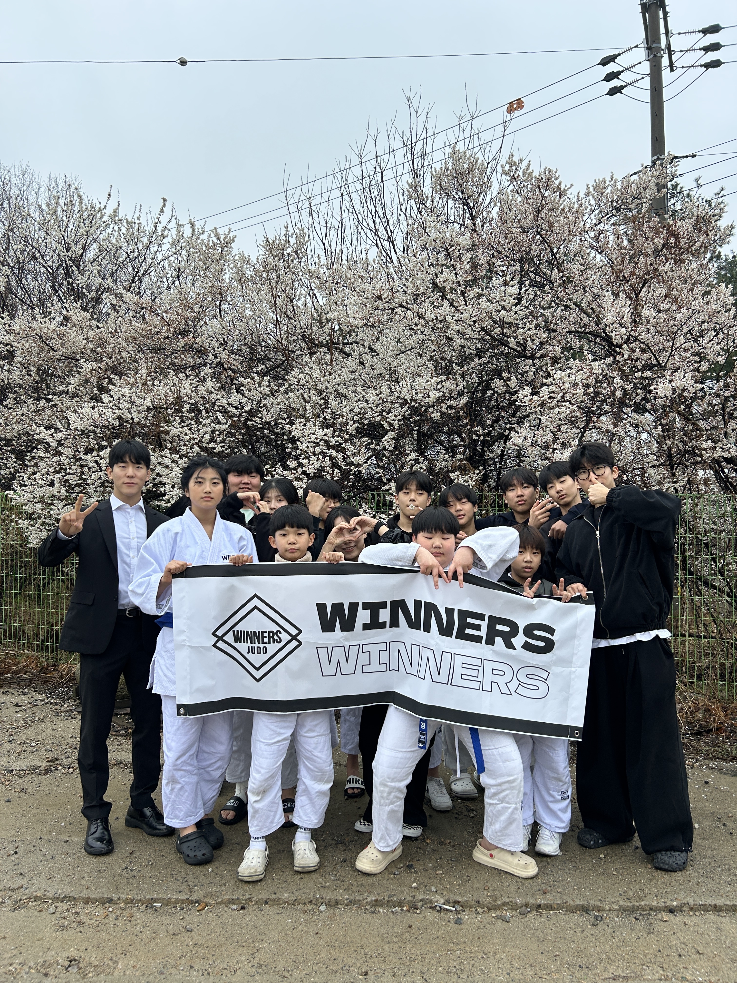 위너스유도