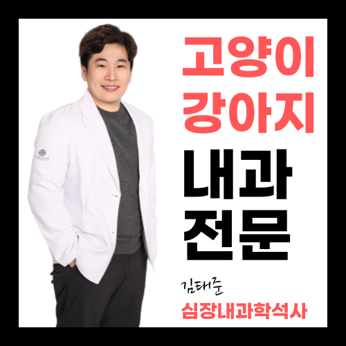아크로벳내과동물병원 대표 이미지