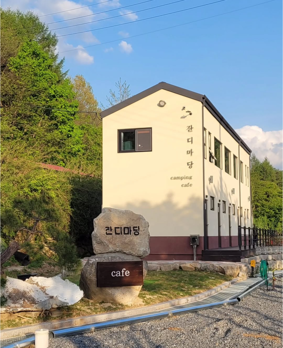 오월의산책 동물병원 반려동물 동반 애견카페