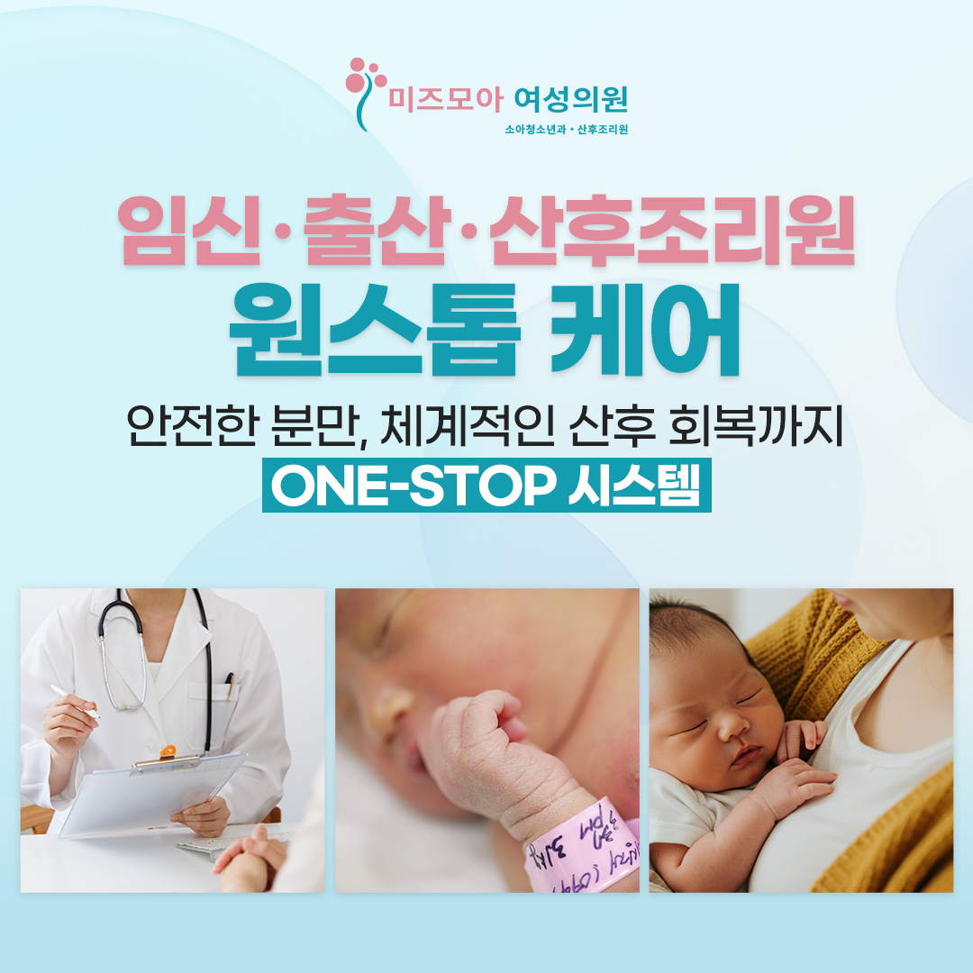 미즈모아여성의원