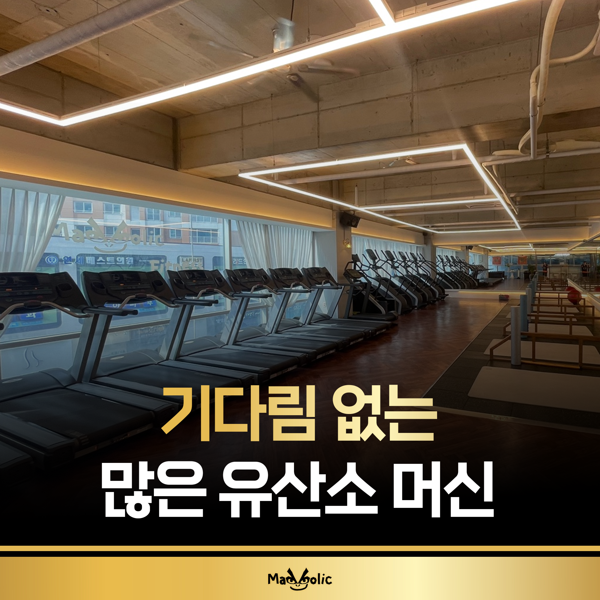 매드볼릭 휘트니스 PT 배곧점 대표 이미지