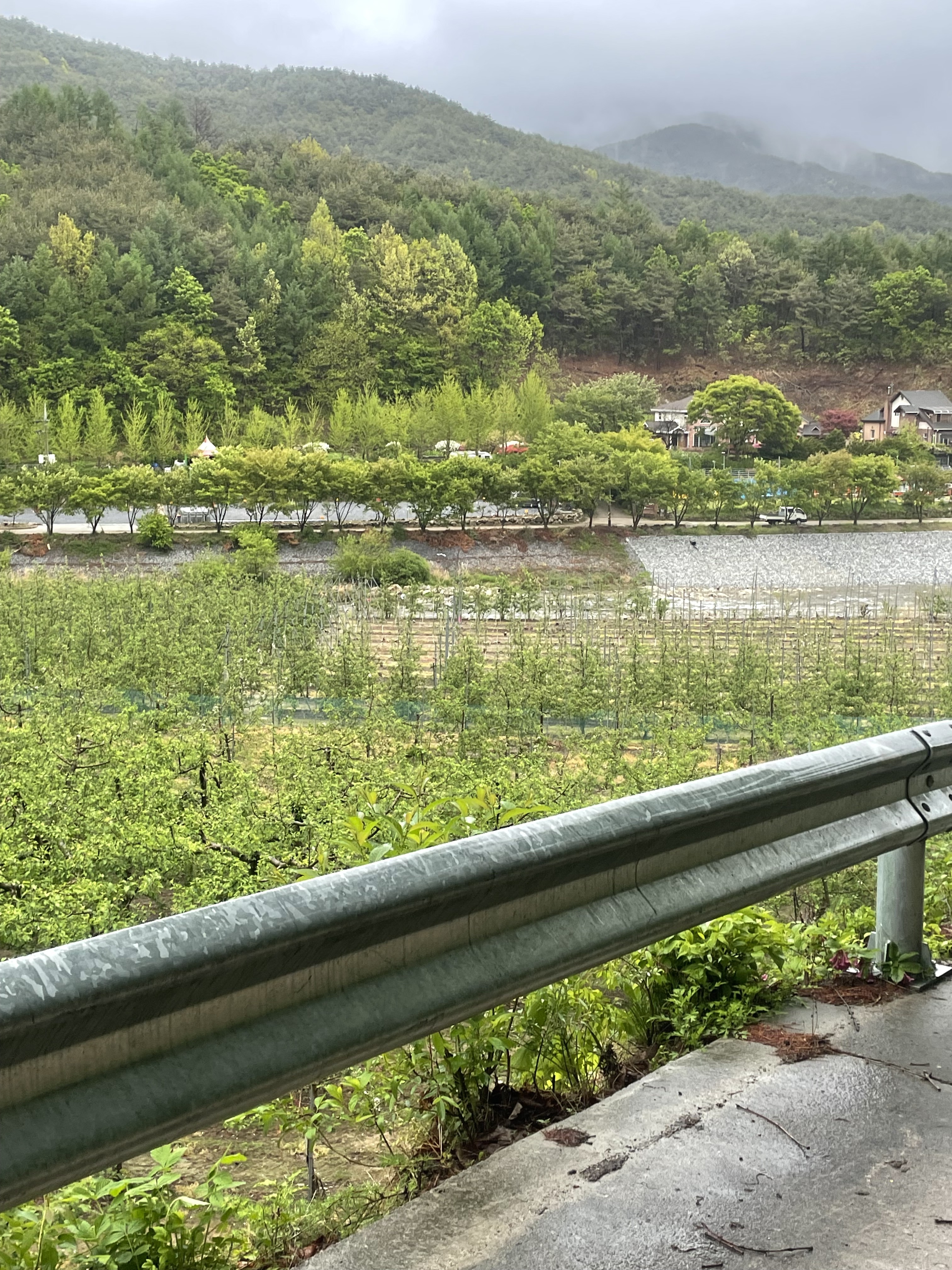 오월의산책 동물병원 4