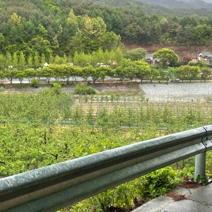 잔디마당 자동차 야영장