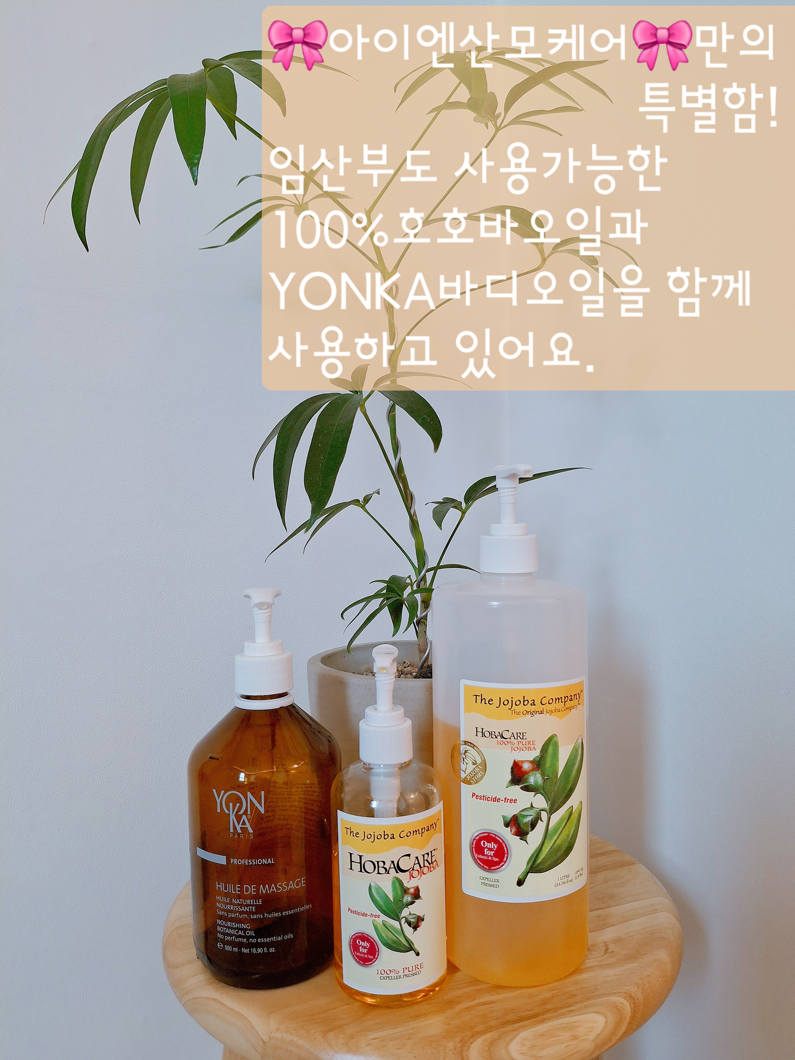 아이엔산모케어