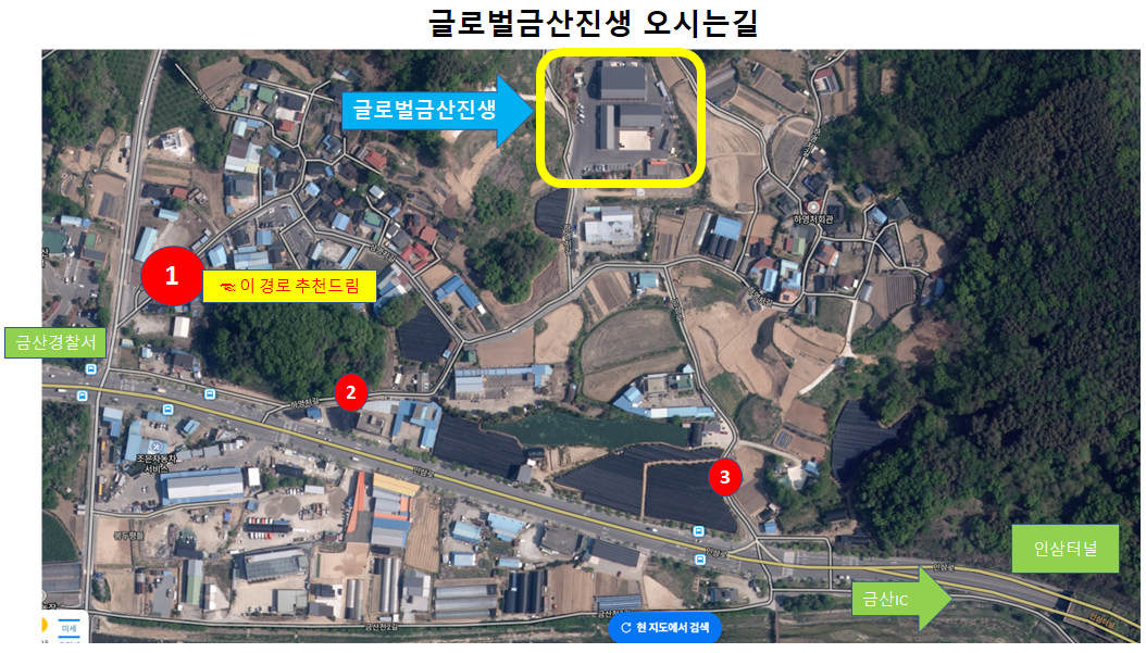 글로벌금산진생