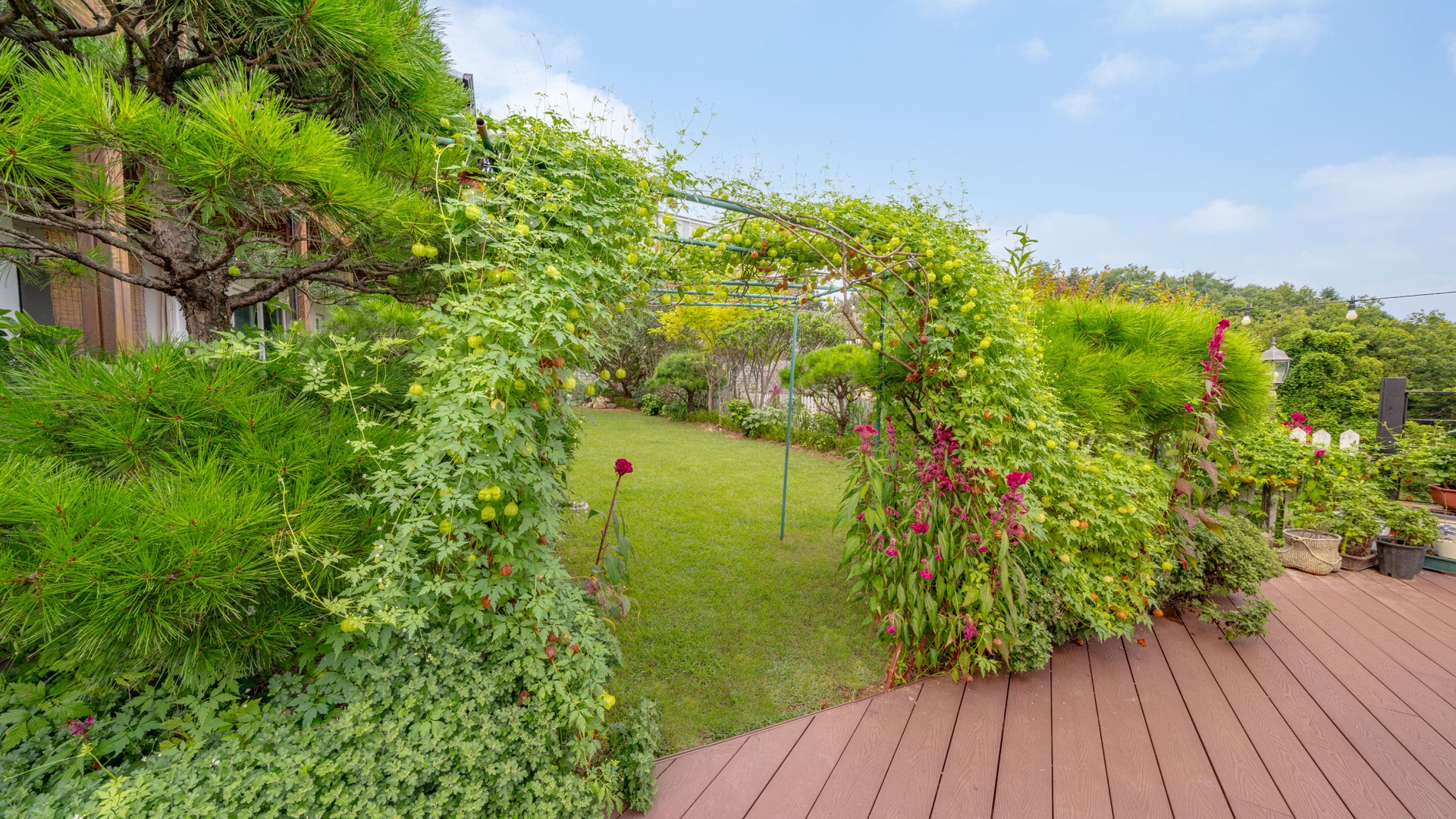 아트 애견동반 펜션 대표 이미지