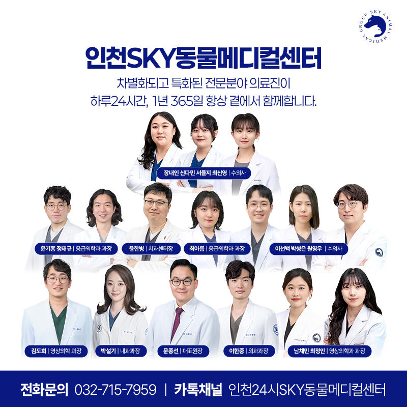 인천24시스카이동물메디컬센터