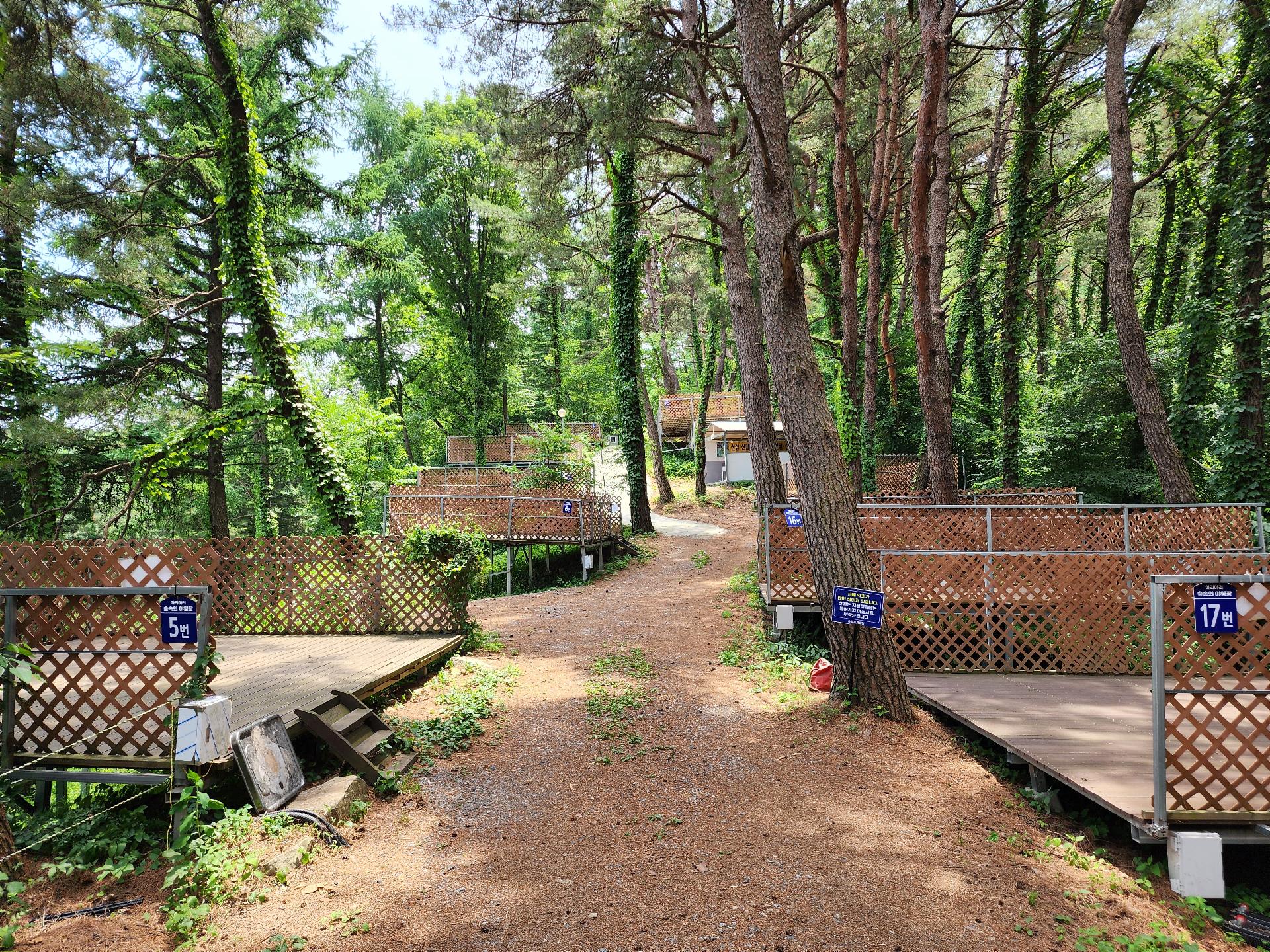 아리아리 숲속야영장