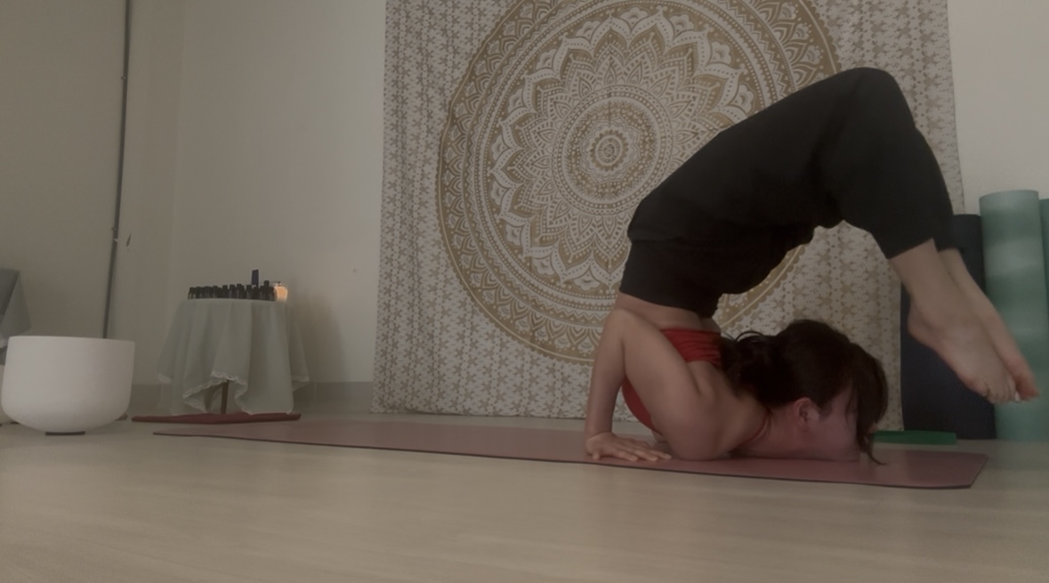 아난다소마 대표 이미지