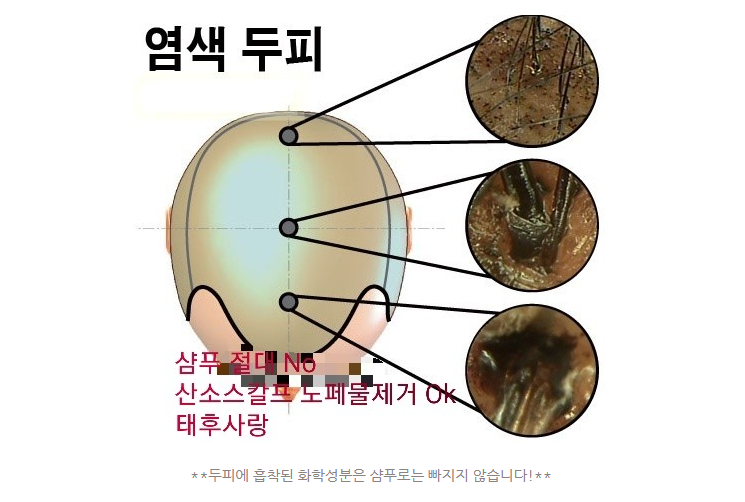 태후사랑 고산점