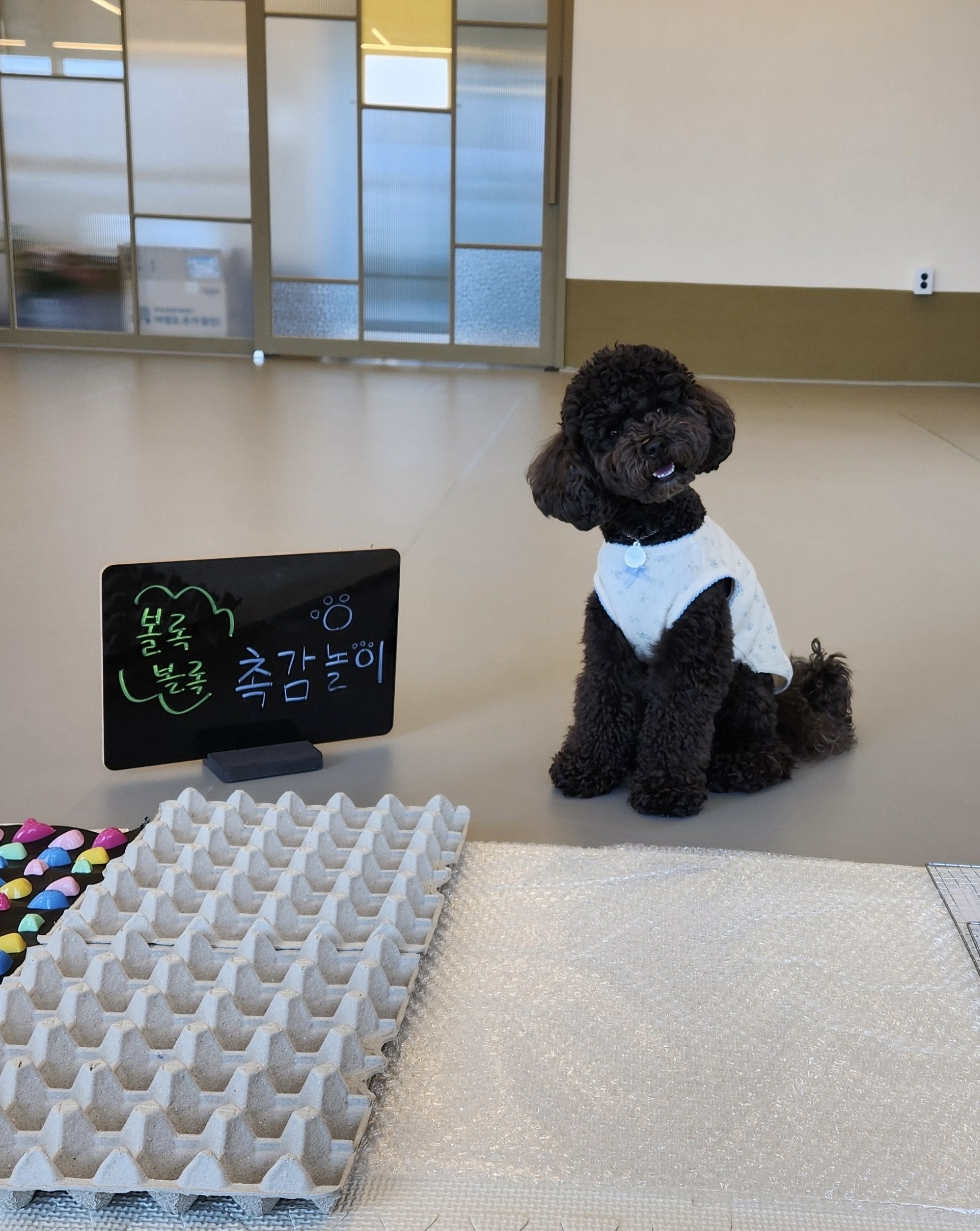 댕글댕글유치원 대표 이미지