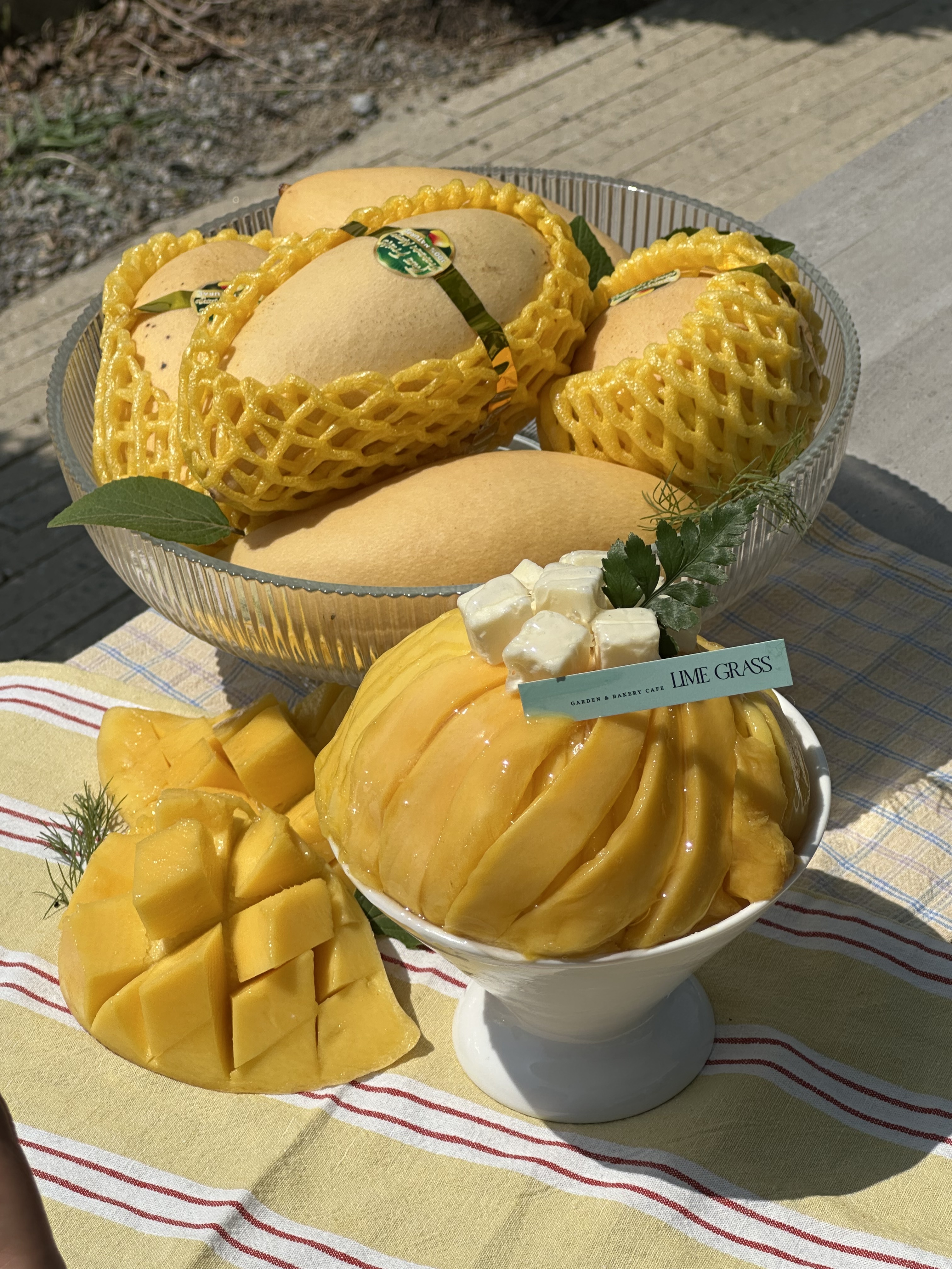 Mango Bingsu
