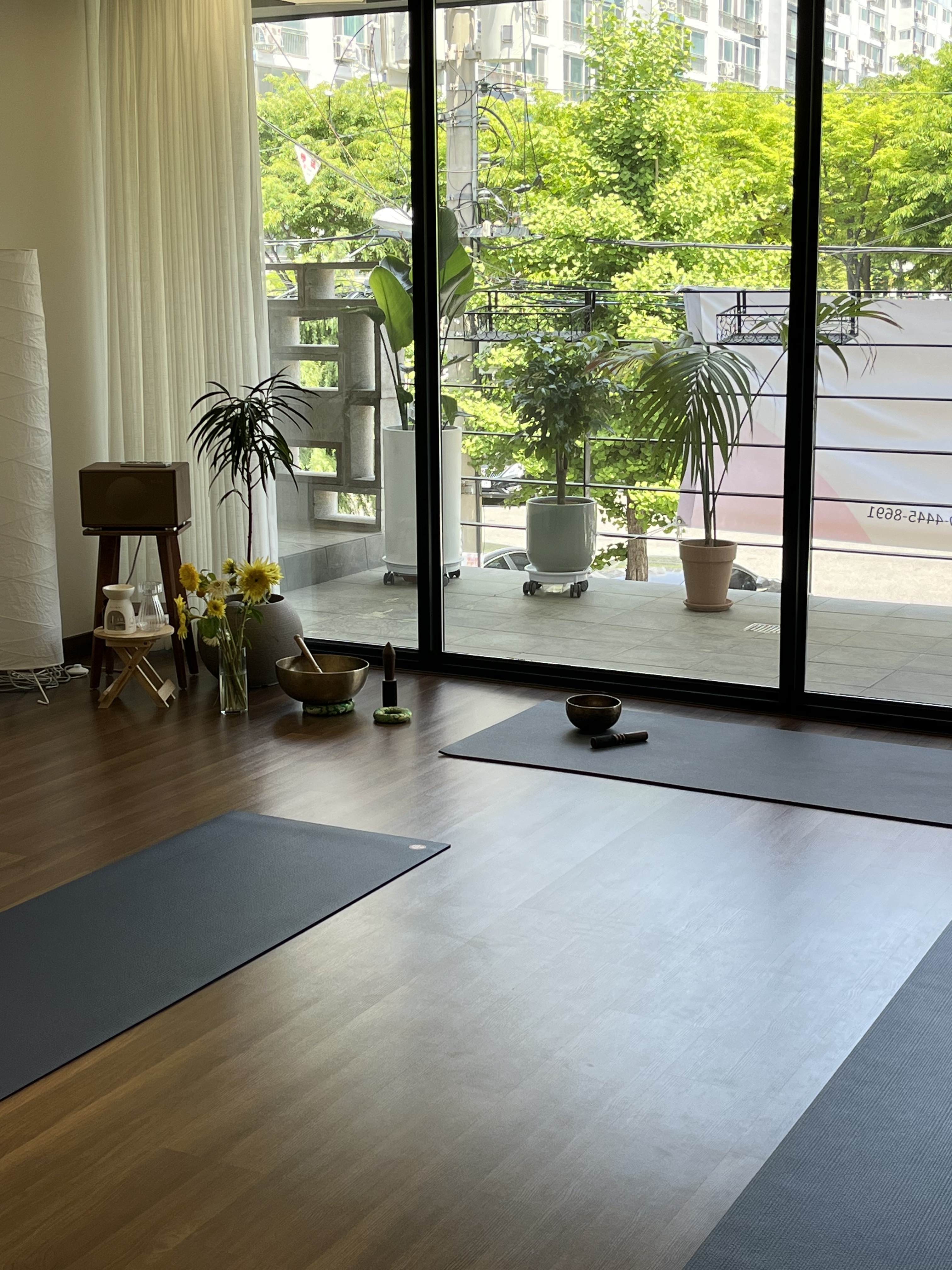 오유요가 대표 이미지