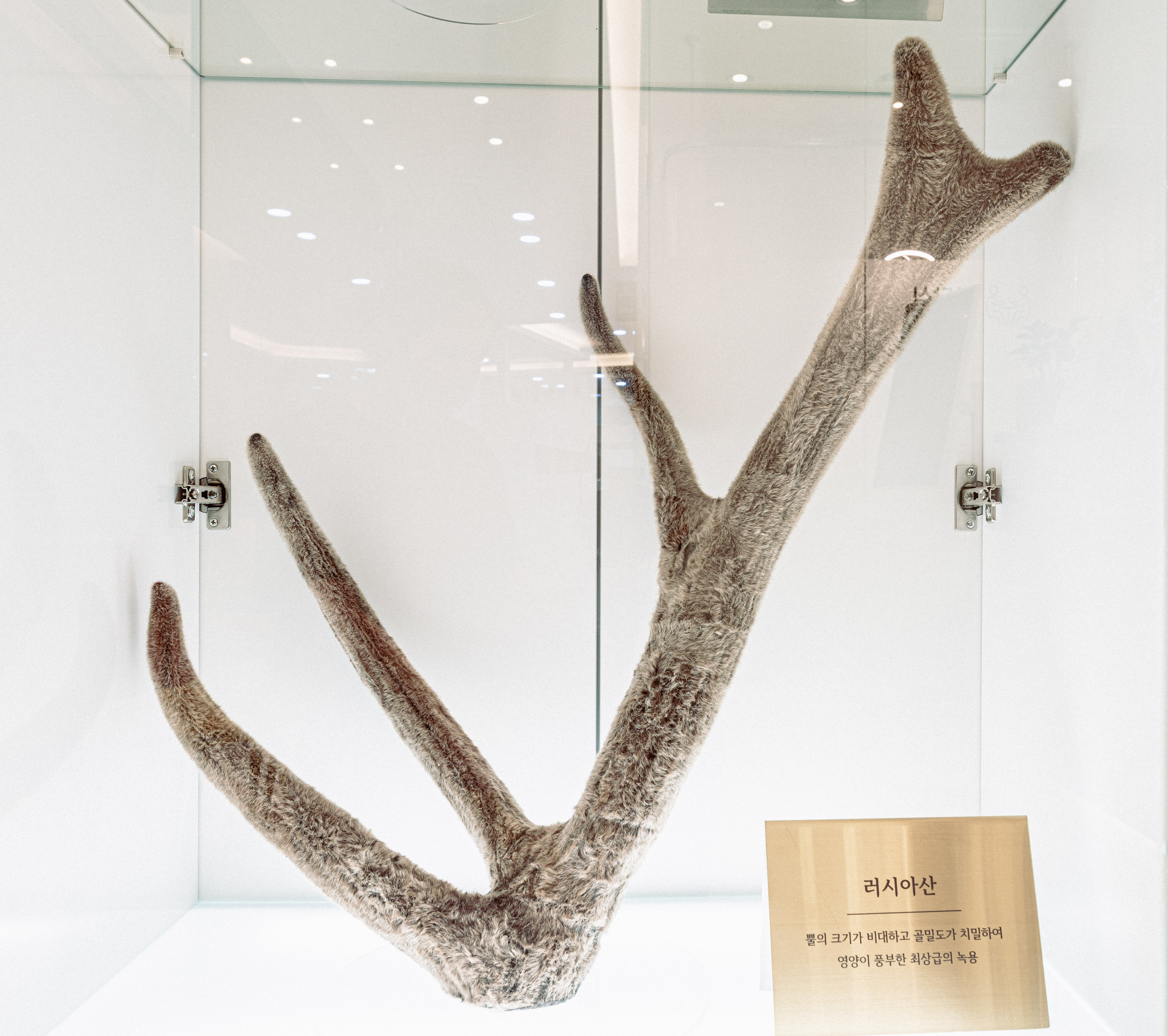 건강누리한의원 대표 이미지