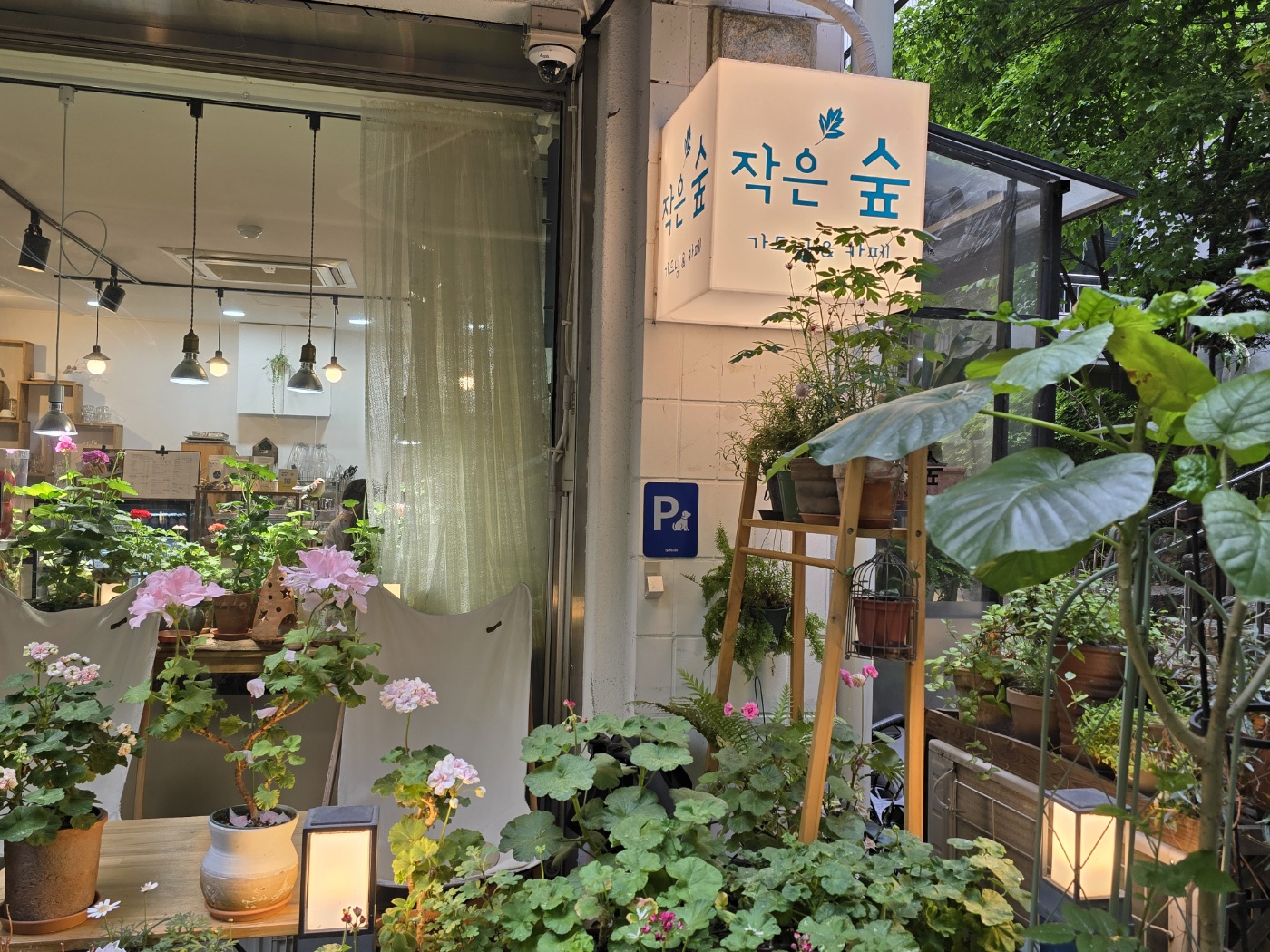 카페작은숲