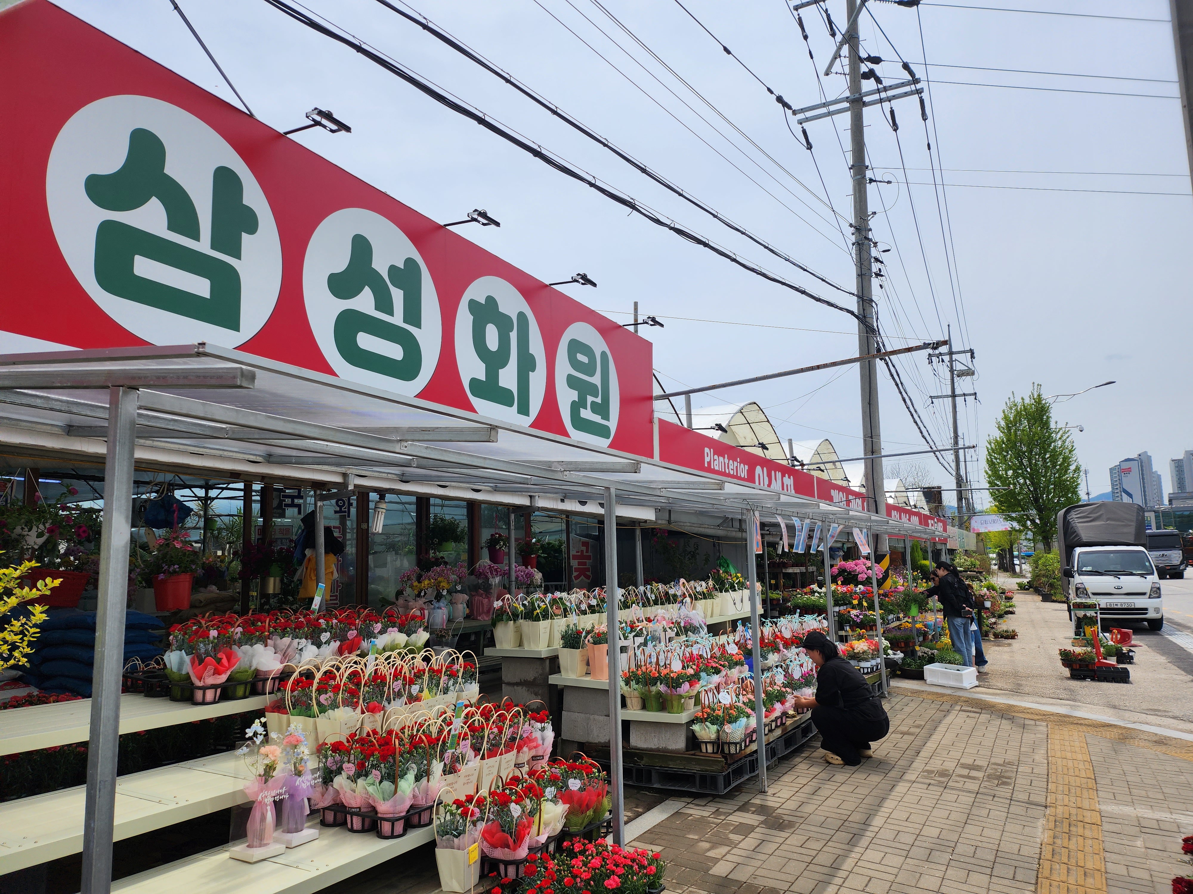 삼성화원