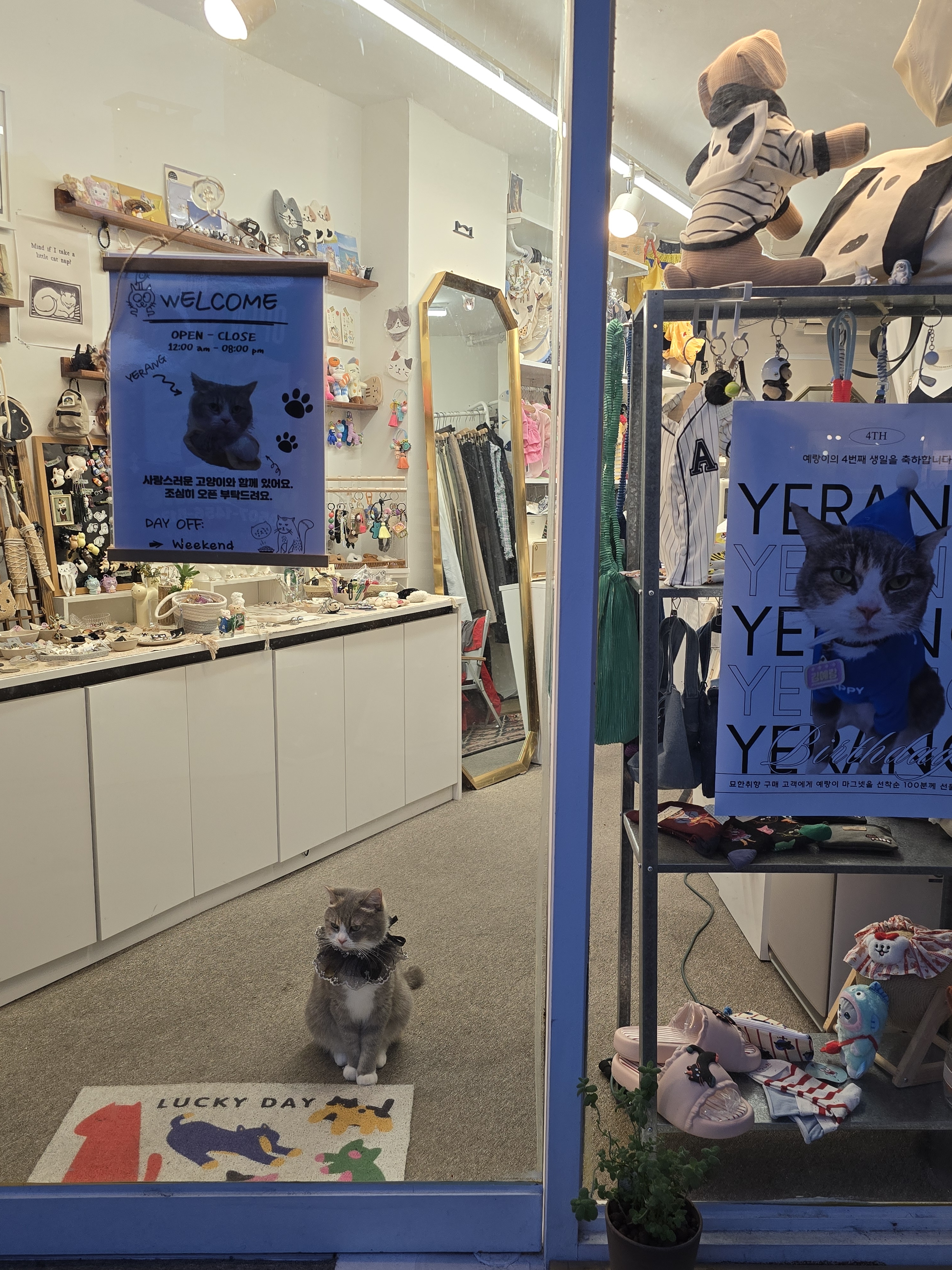 묘한취향 대표 이미지