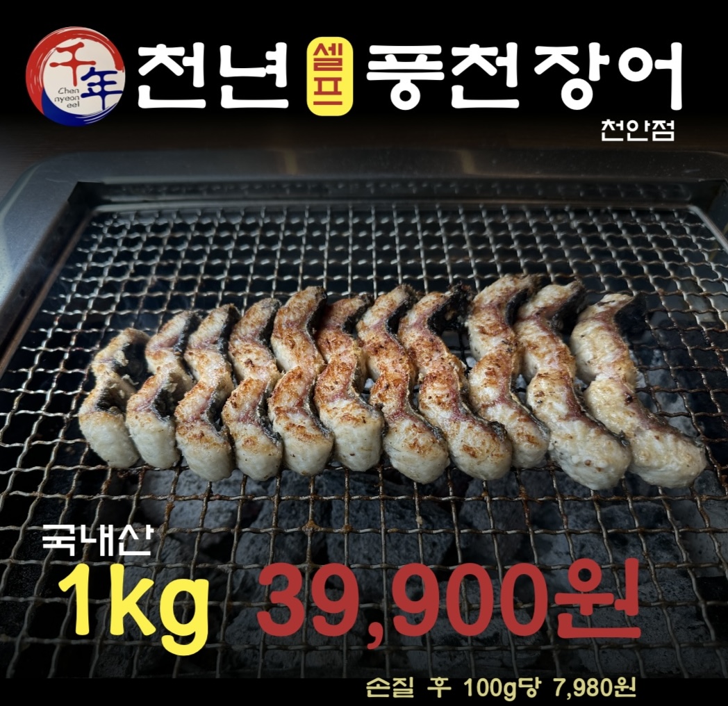 천년풍천장어