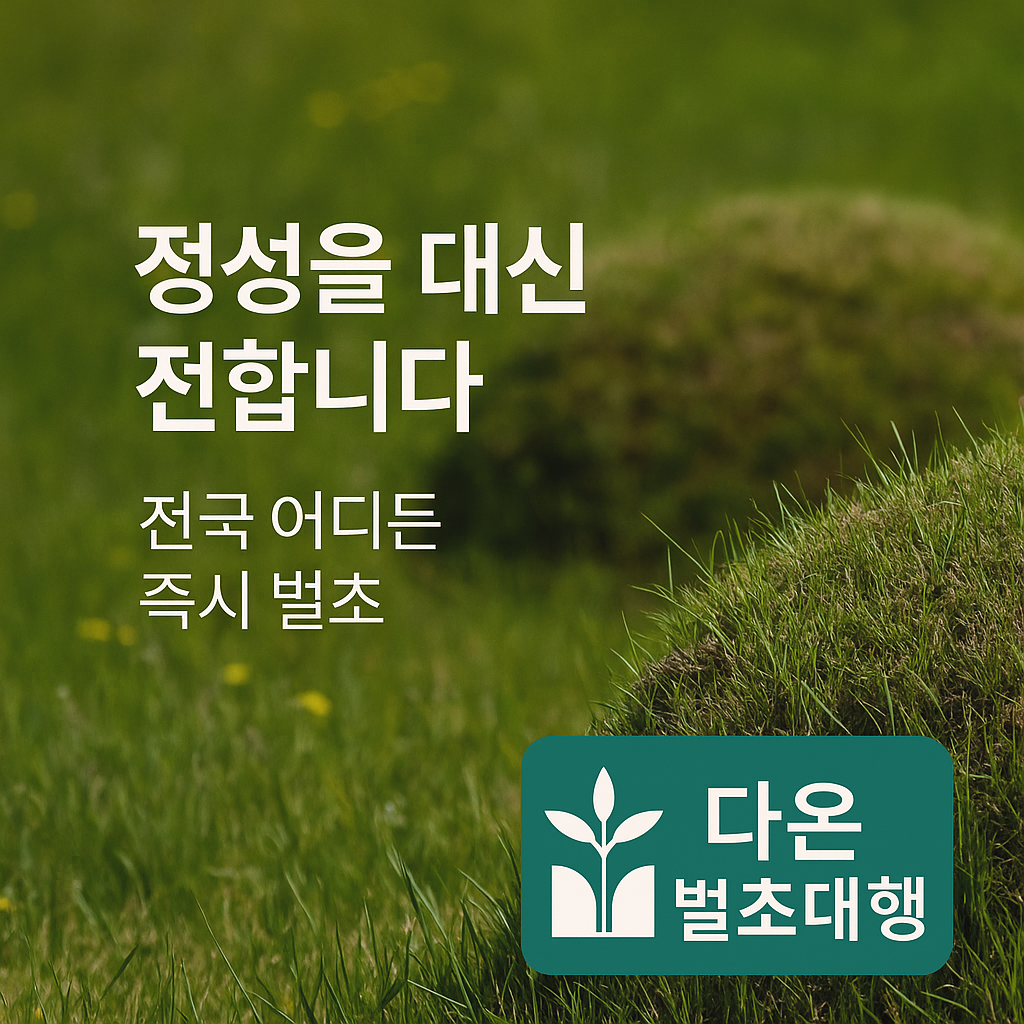 다온 벌초대행
