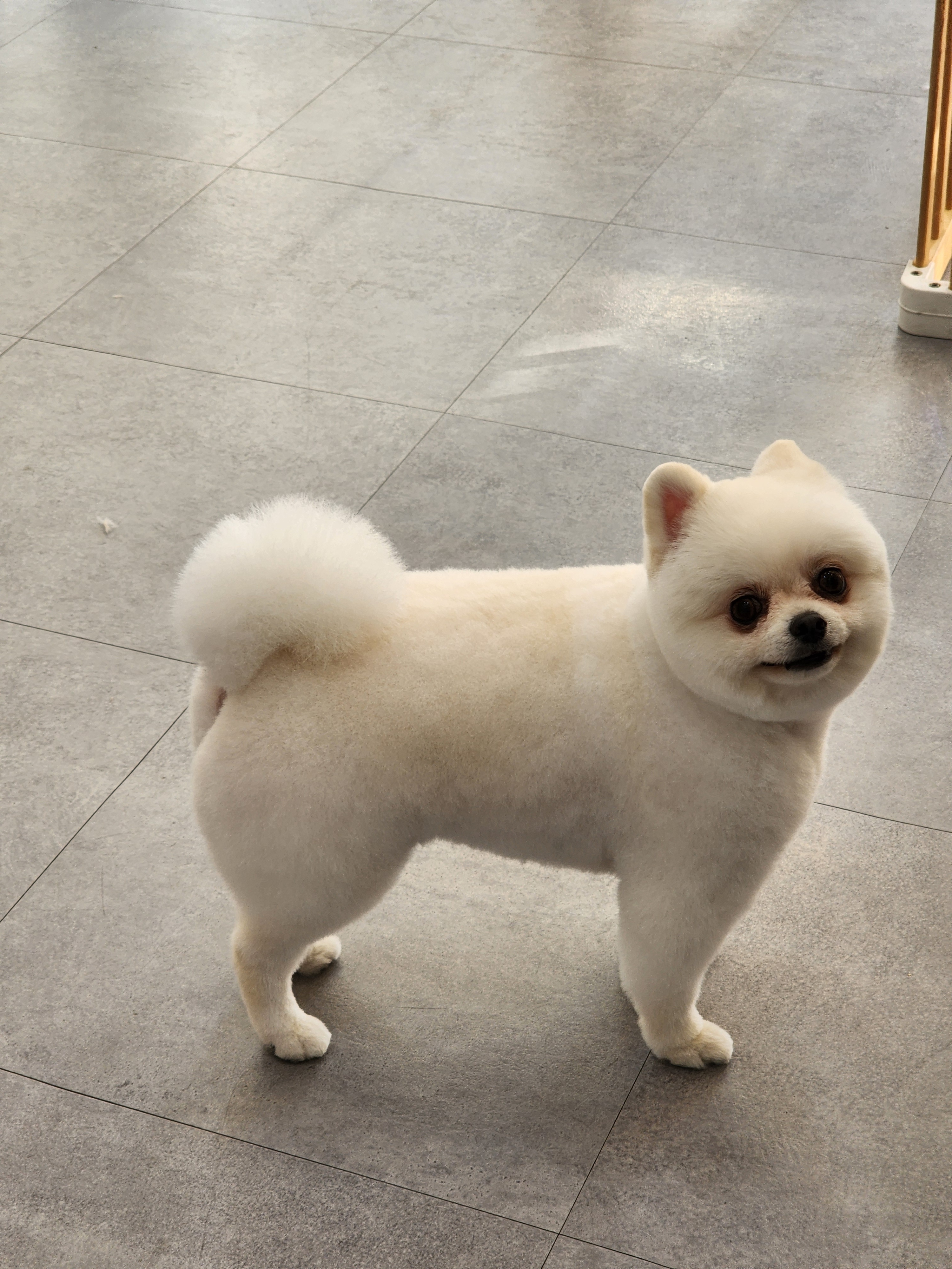 오늘도예쁘개 대표 이미지