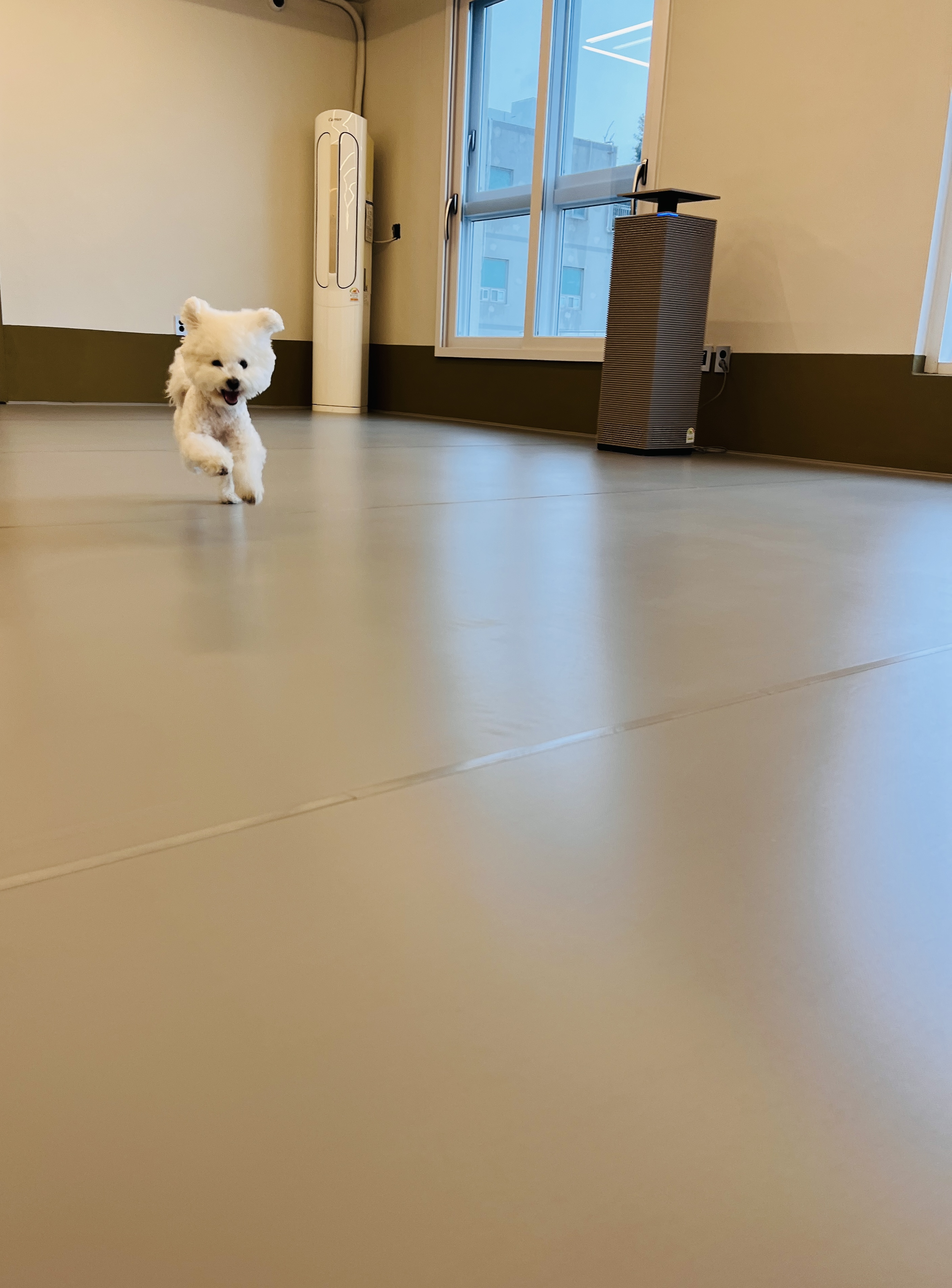 댕글댕글유치원 대표 이미지