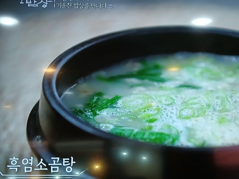 송조농원 충청 애견맛집