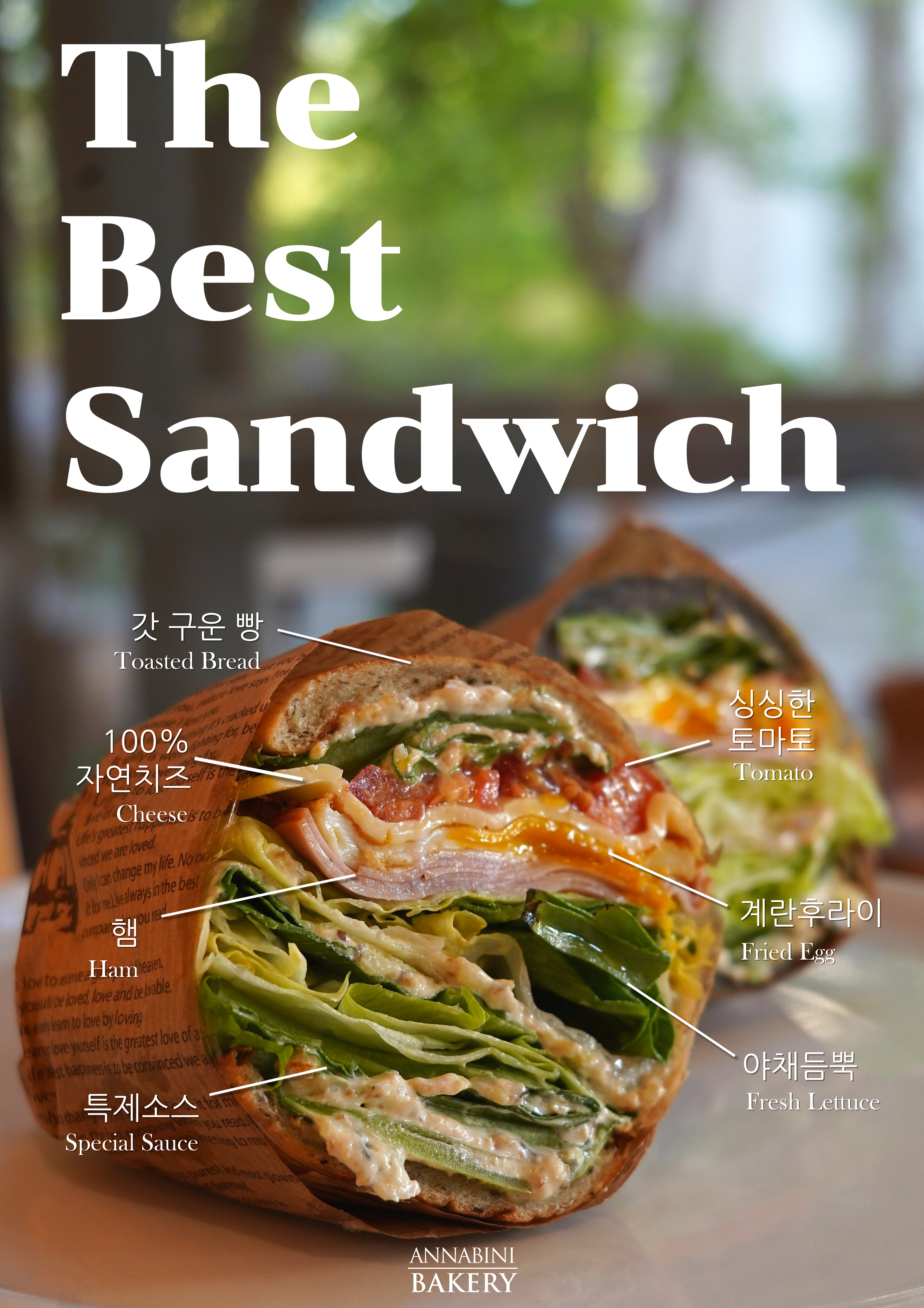 안나비니 설명사진