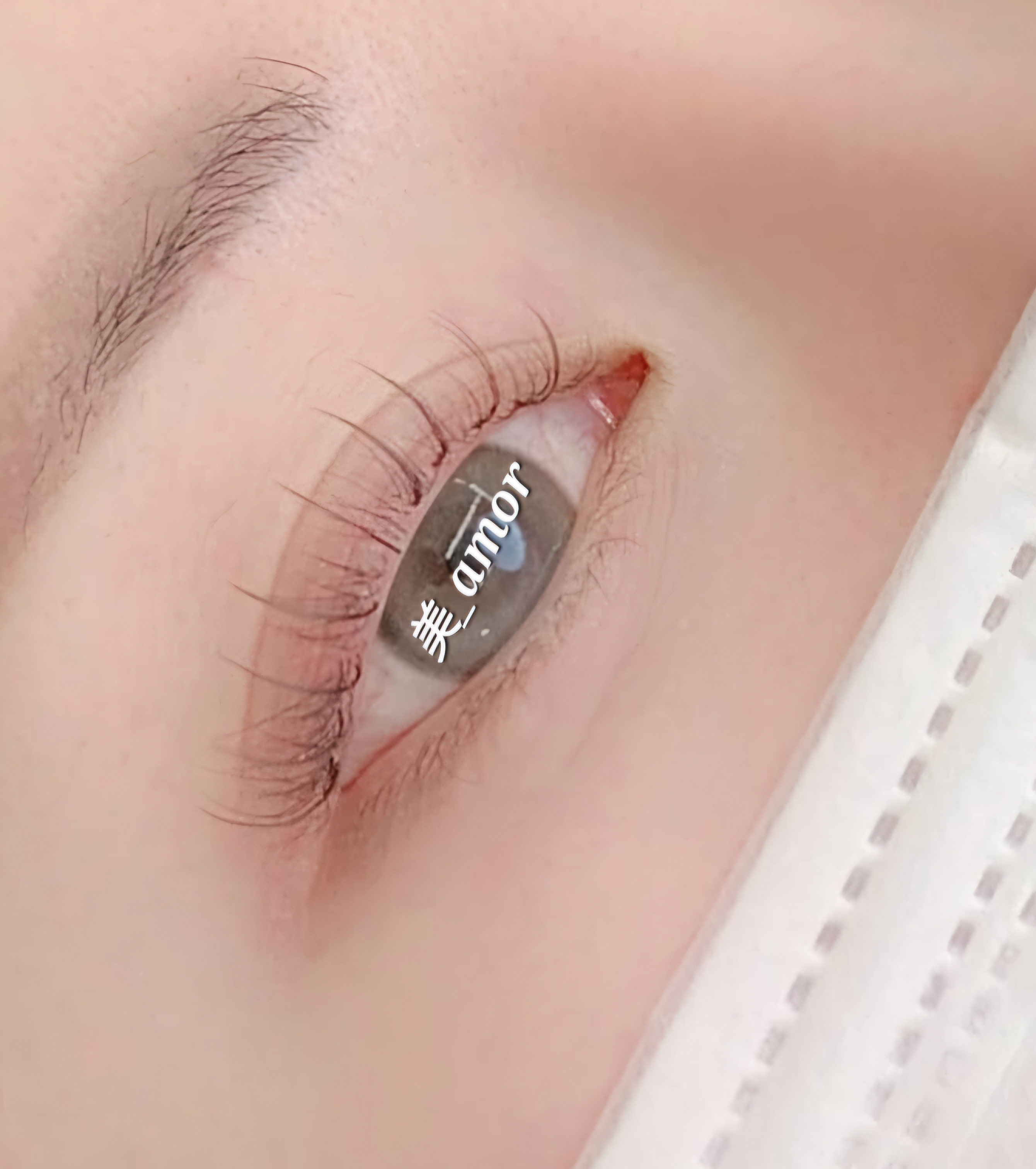 미_아모르 대표 이미지