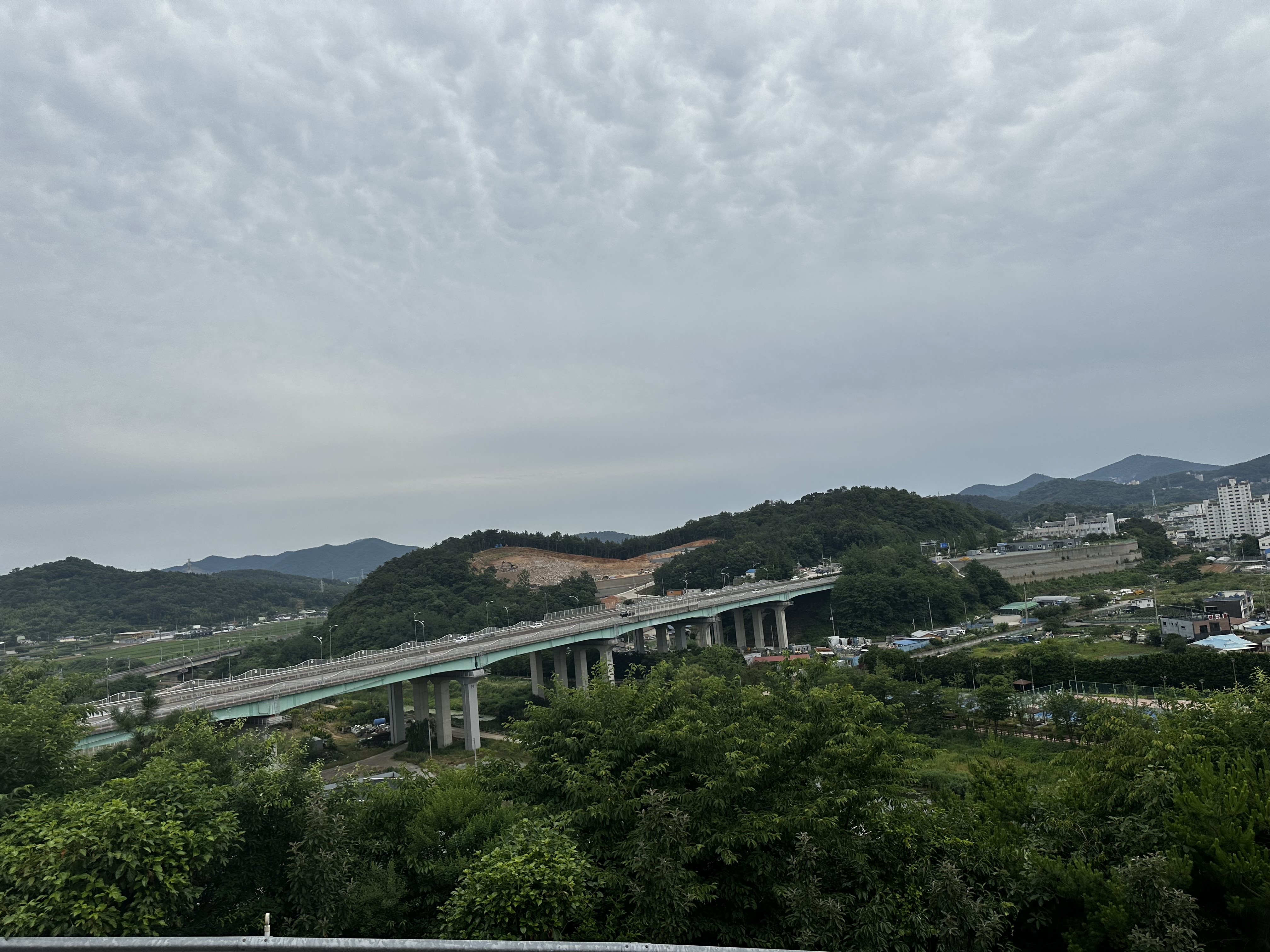 덕양참숯닭구이