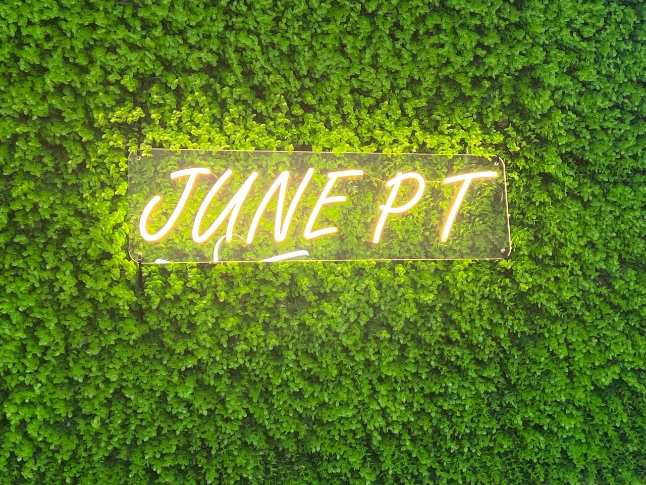 준피티