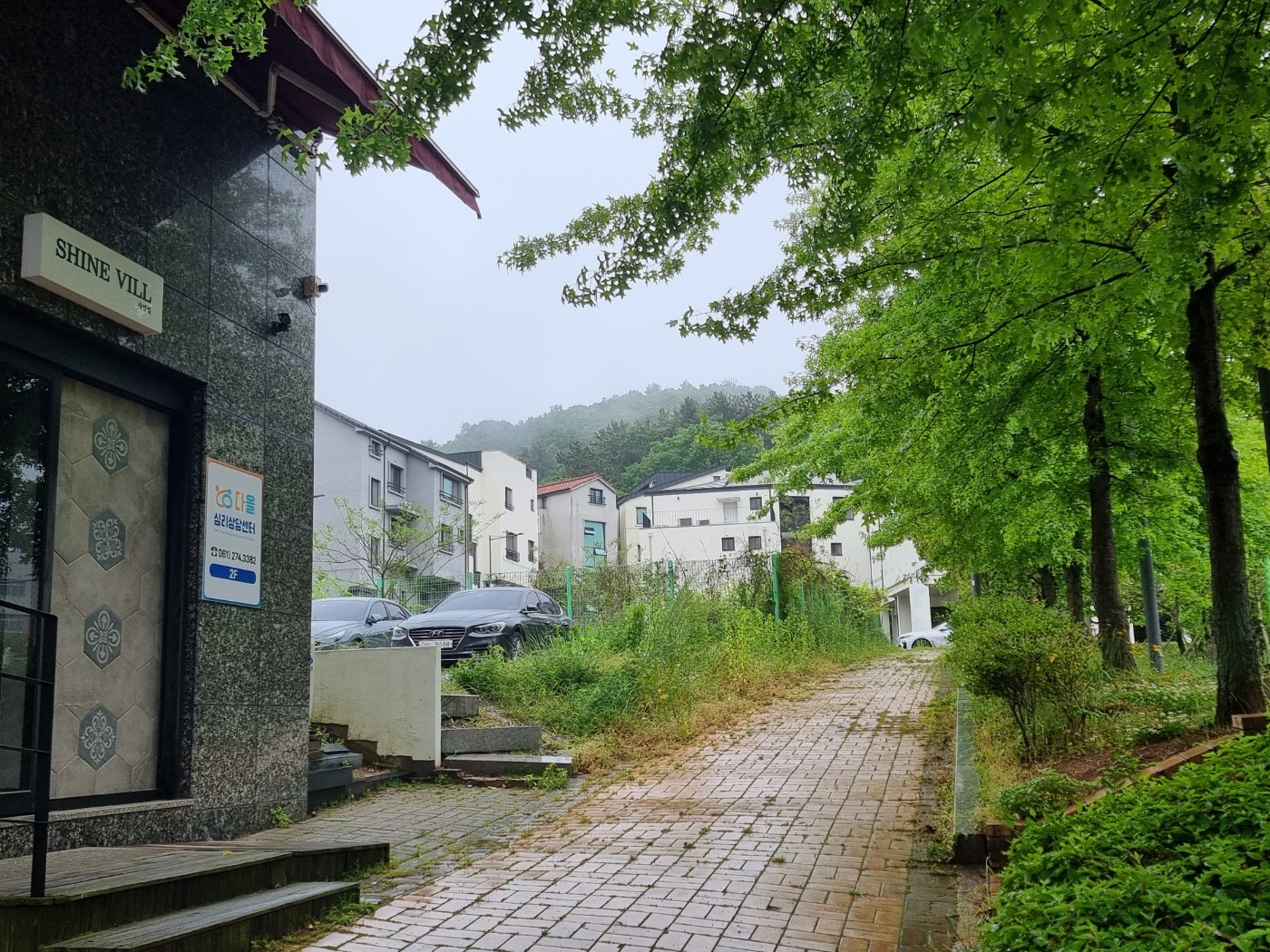 다올심리상담센터 대표 이미지