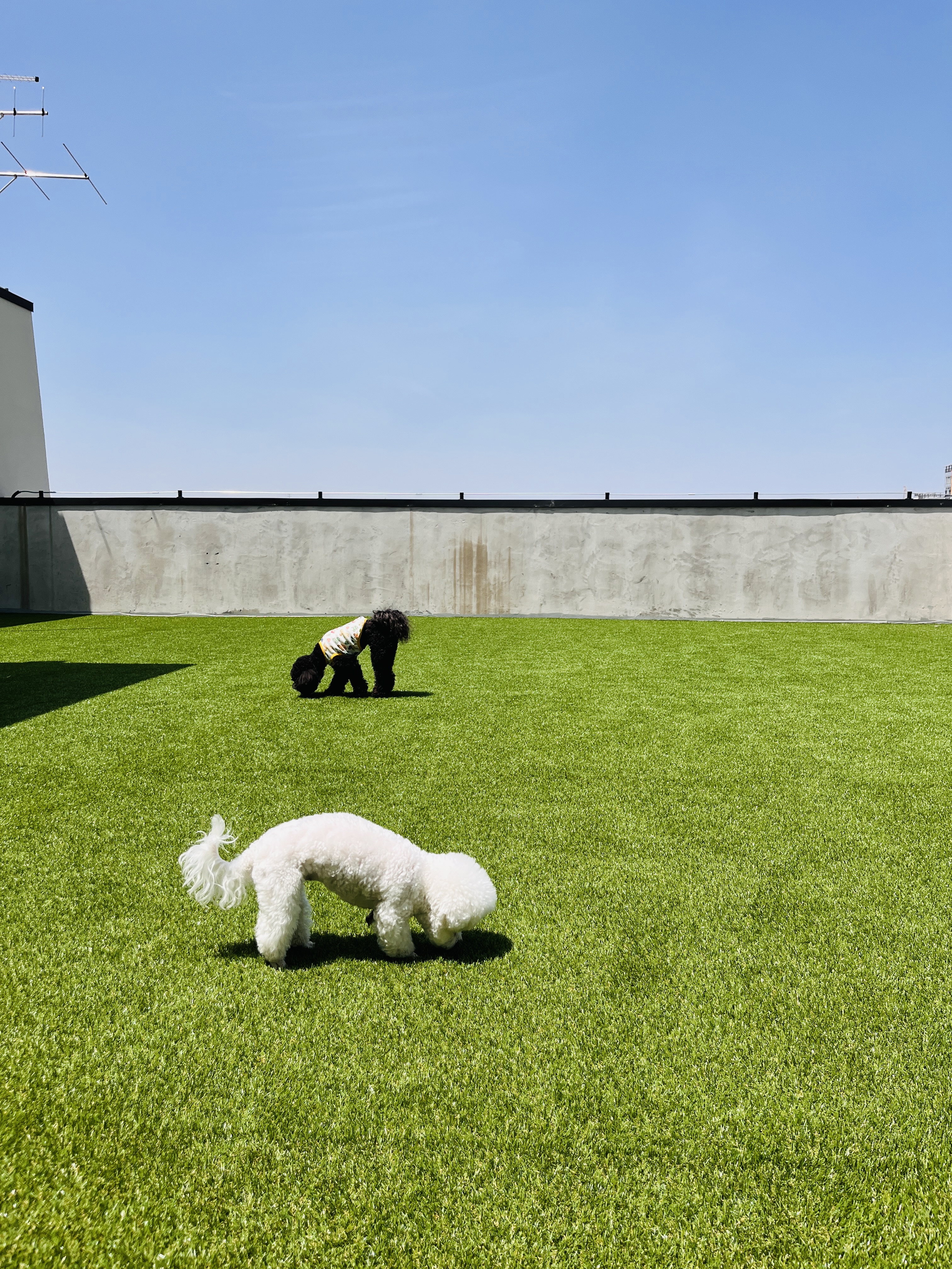 댕글댕글유치원 대표 이미지