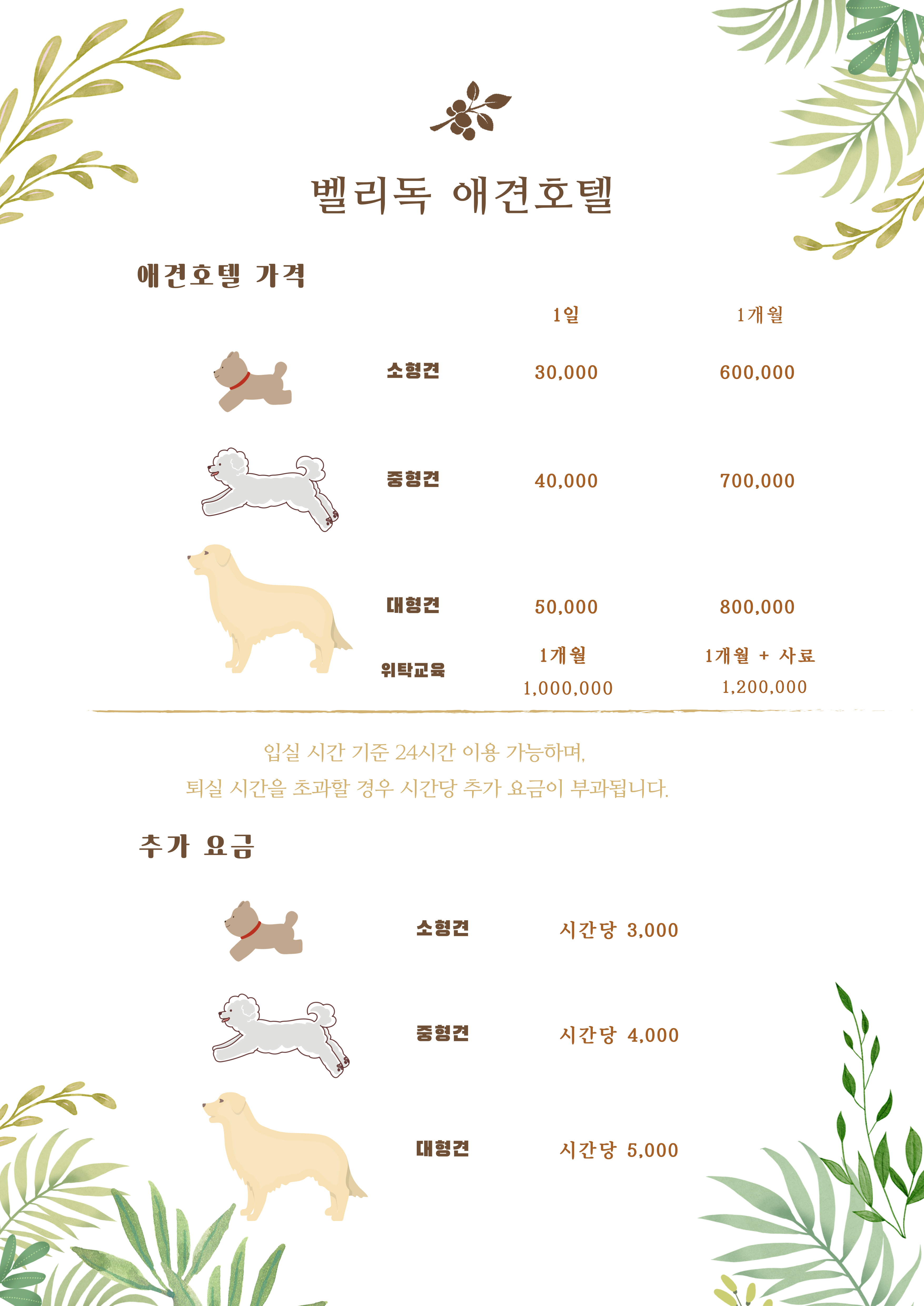 벨리독 3
