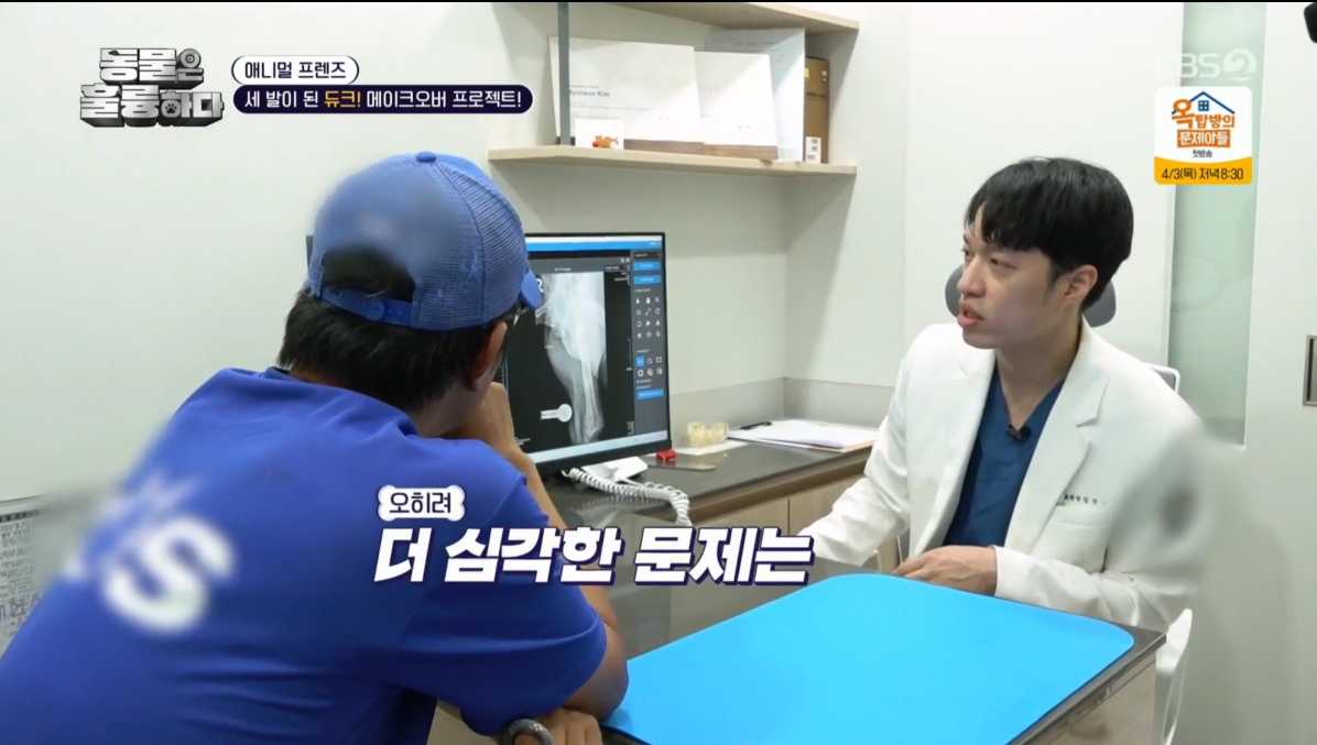 비비동물병원 대표 이미지