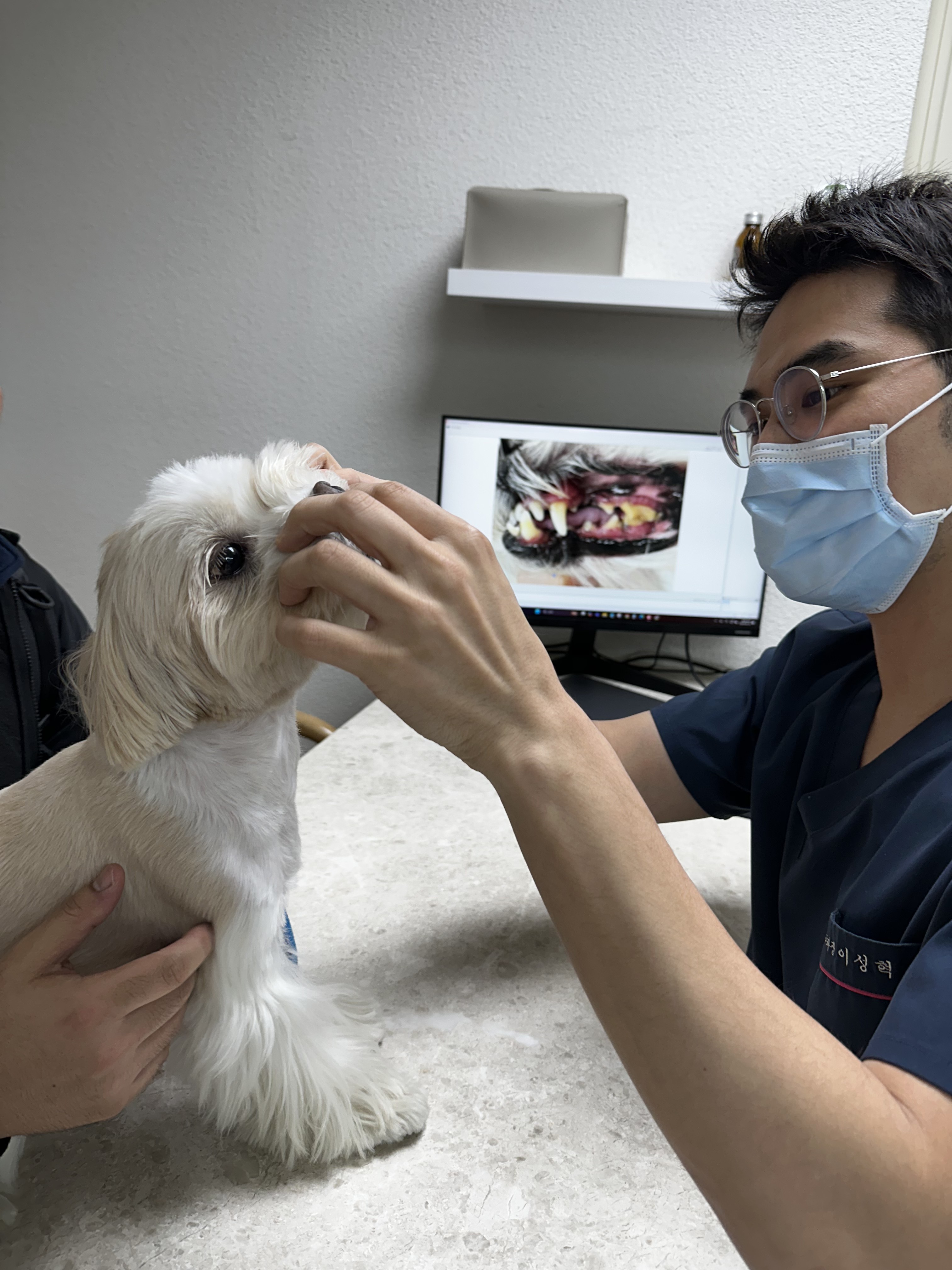 오복동물치과병원 대표 이미지