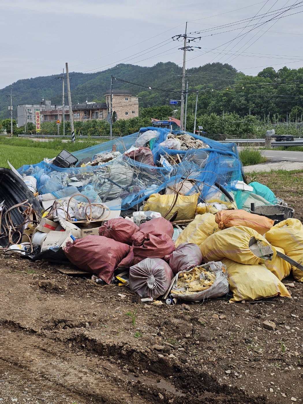 더푸른종합환경